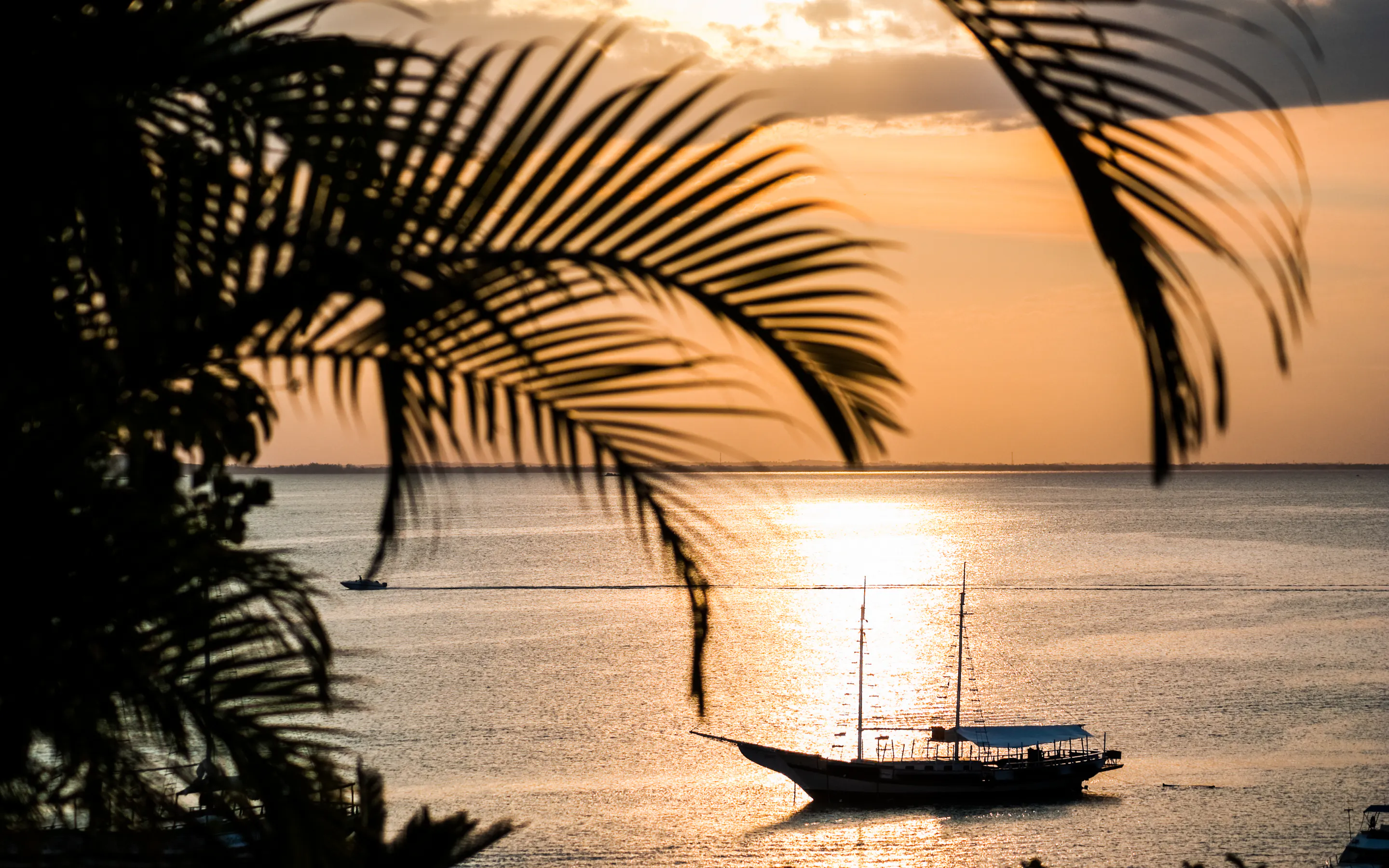 Palm fronds frame a glowing sunset over calm water, where a lone sailboat drifts offshore near Buzios at dusk.