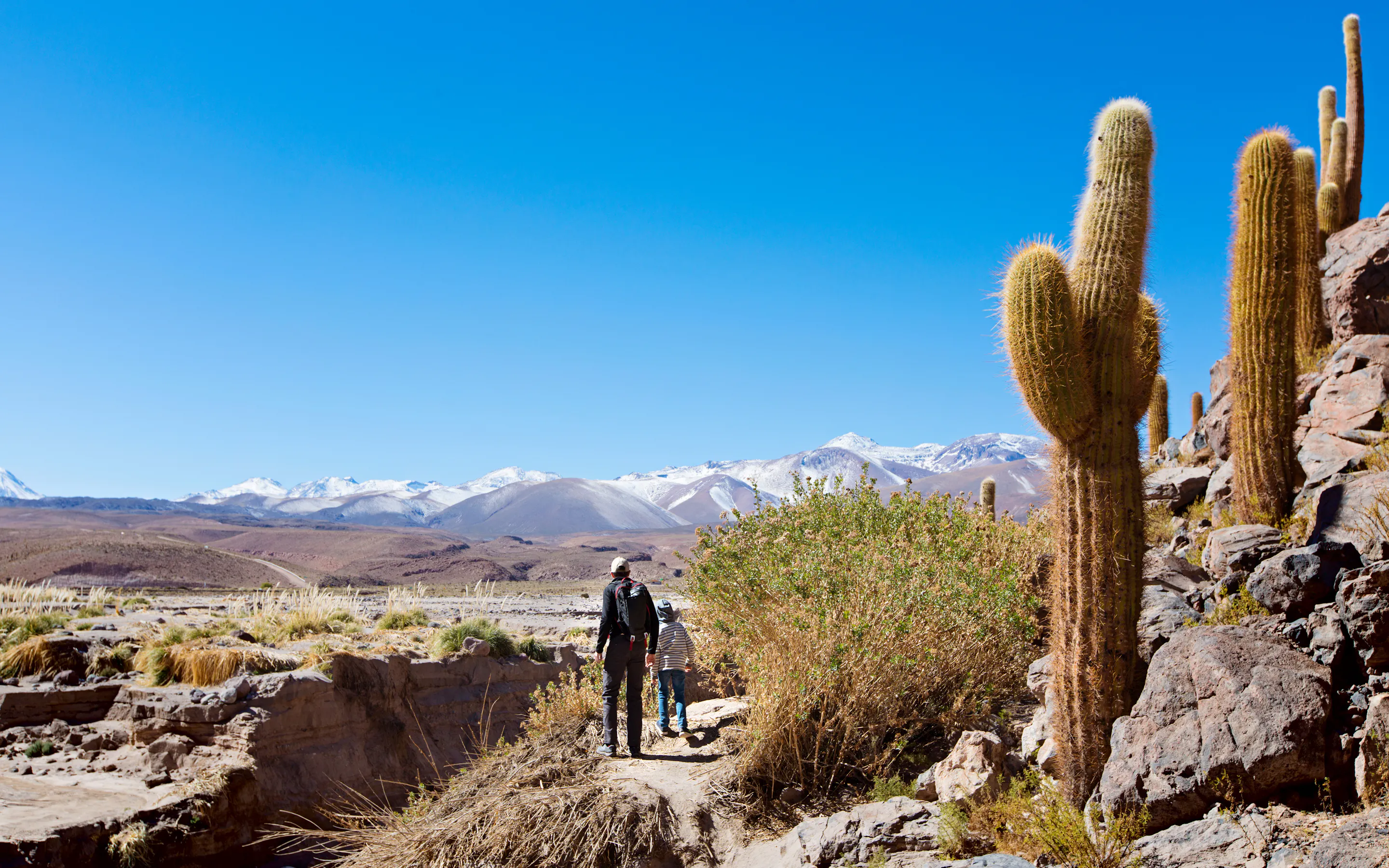 Two hikers move along a rocky trail beside tall cacti, with snow-capped Andean peaks rising in the distance.