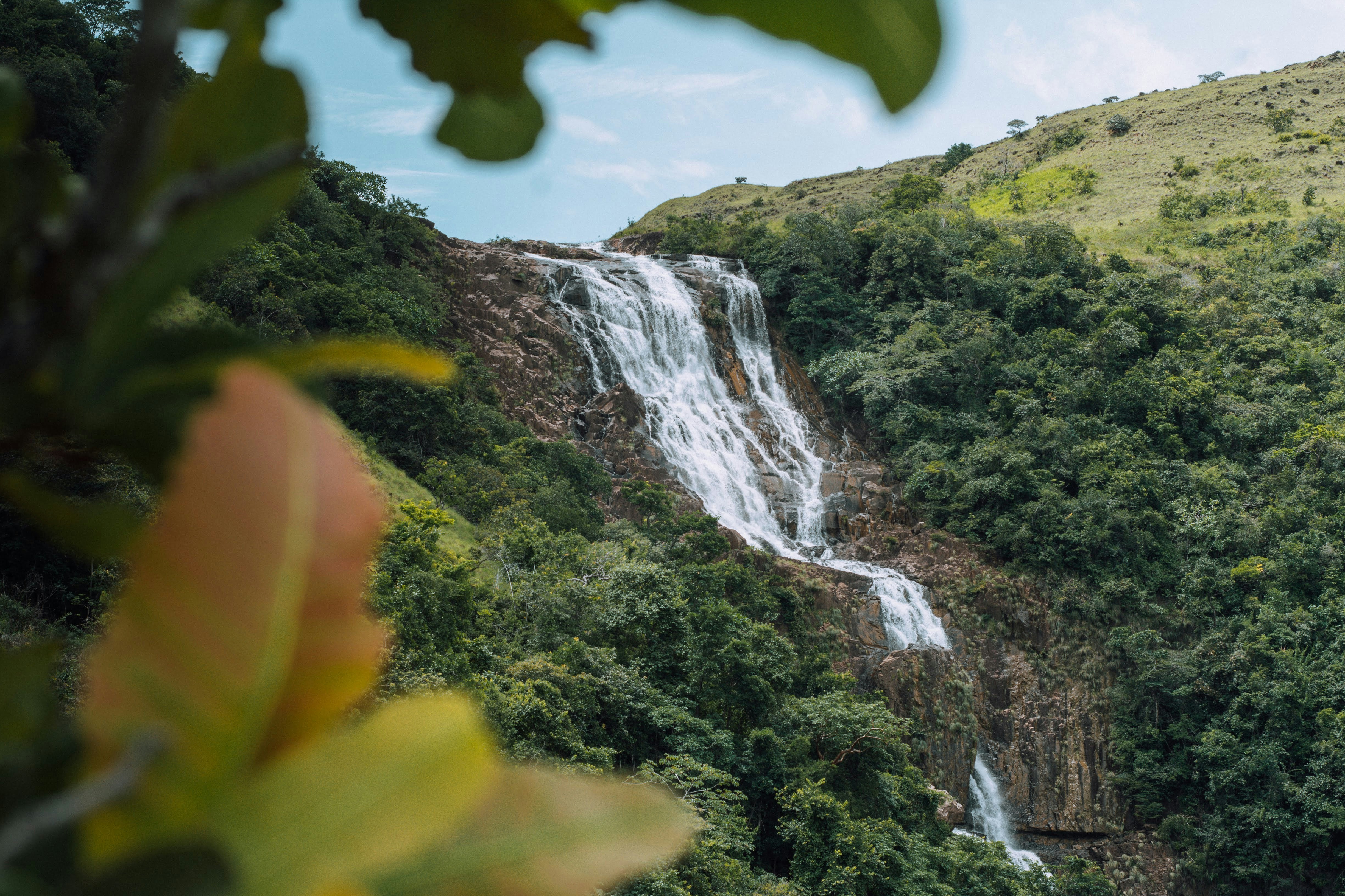A tall rainforest waterfall drops down a steep green mountainside in Panama, framed by blurred leaves in the foreground.