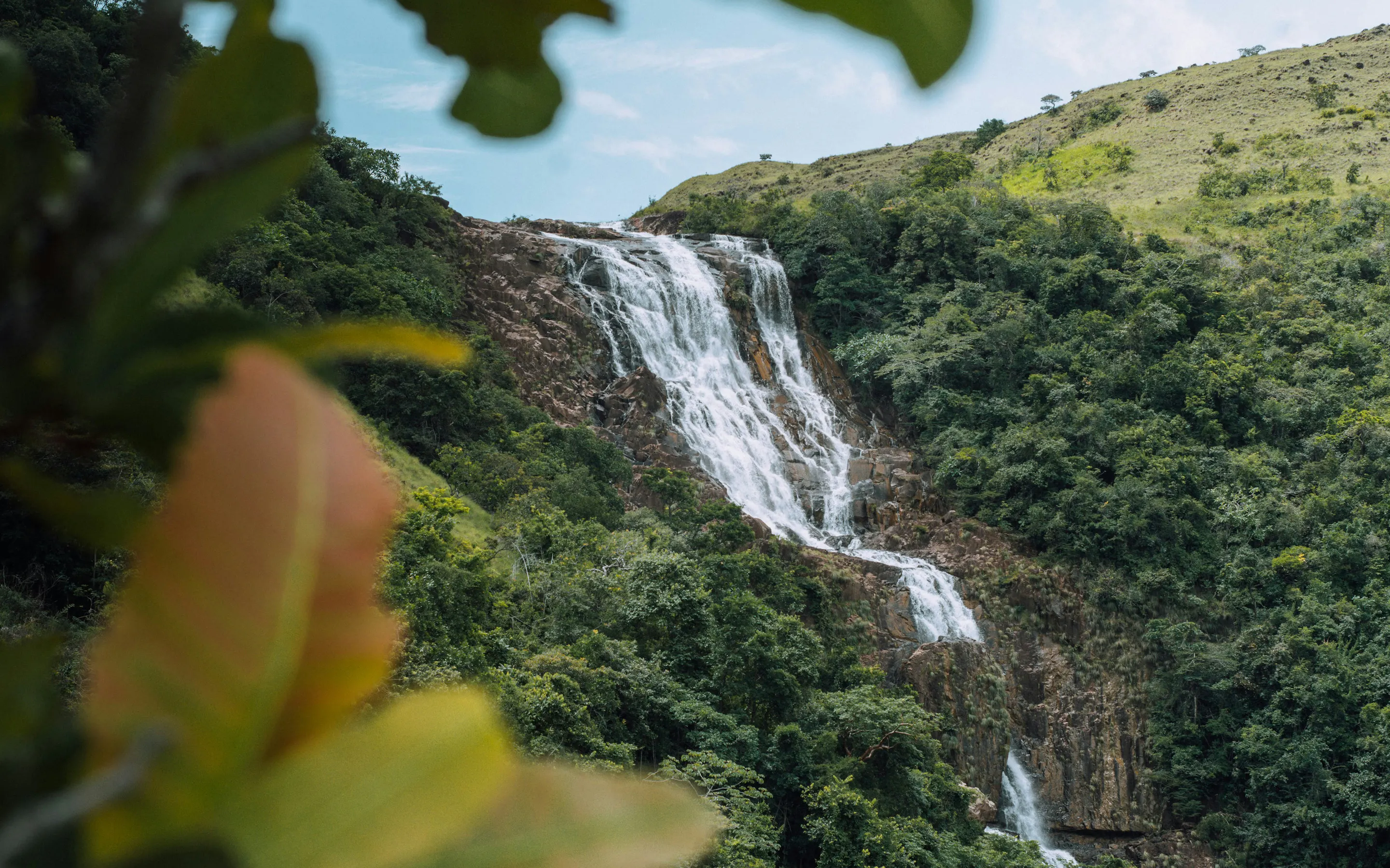 A tall rainforest waterfall drops down a steep green mountainside in Panama, framed by blurred leaves in the foreground.