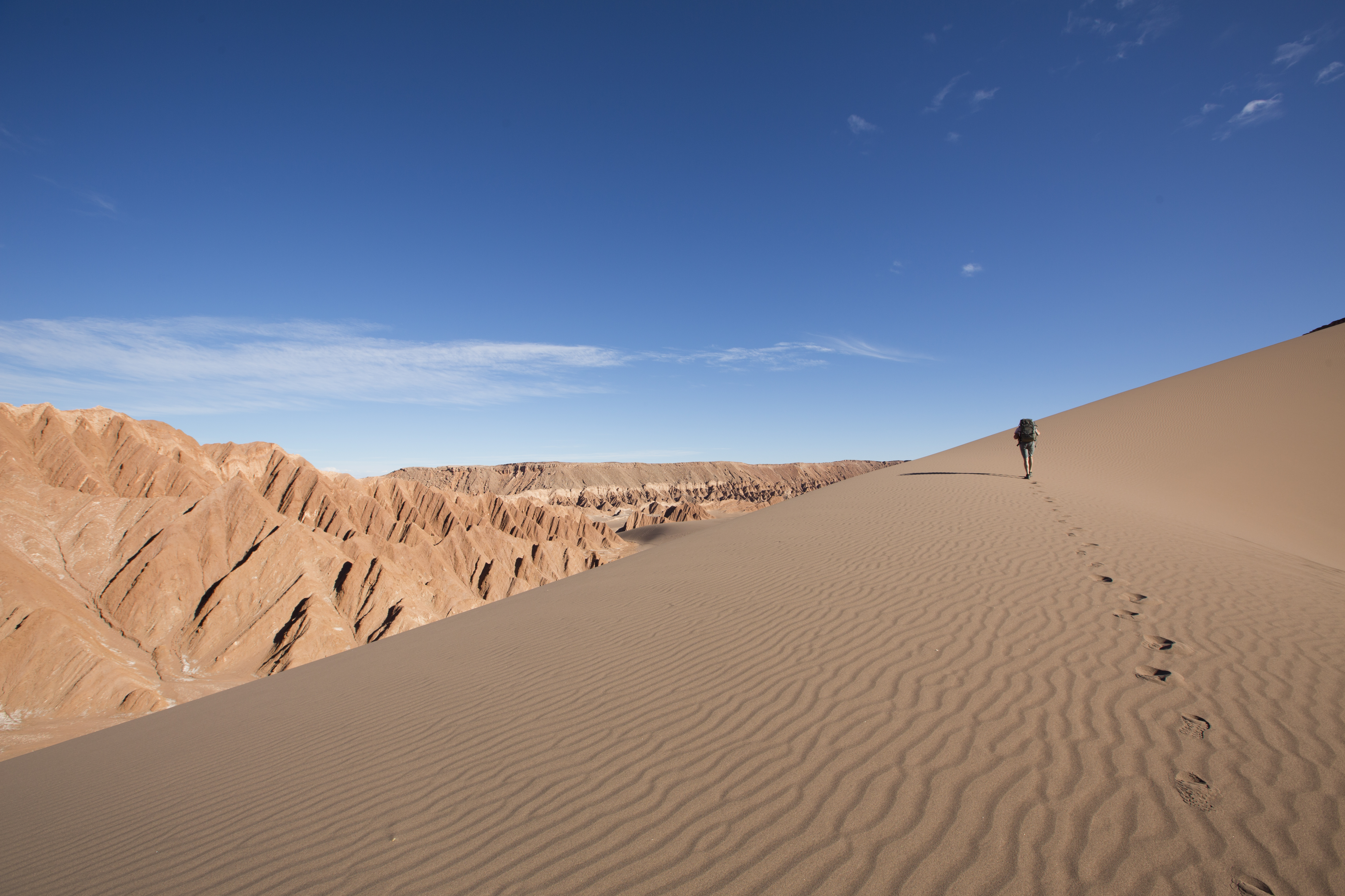 A lone walker traces footprints along a high sand ridge in the Atacama Desert, with ocher dunes and blue sky beyond.