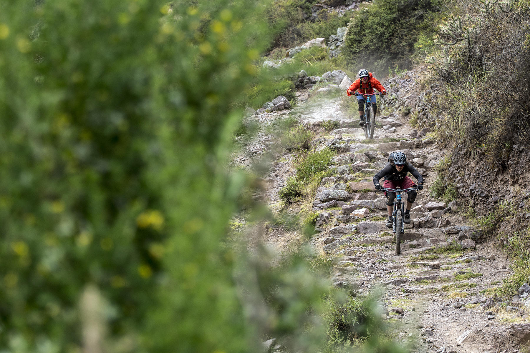 Cyclists descend a narrow stone trail cut into the hillside above the Sacred Valley, with greenery framing the path.