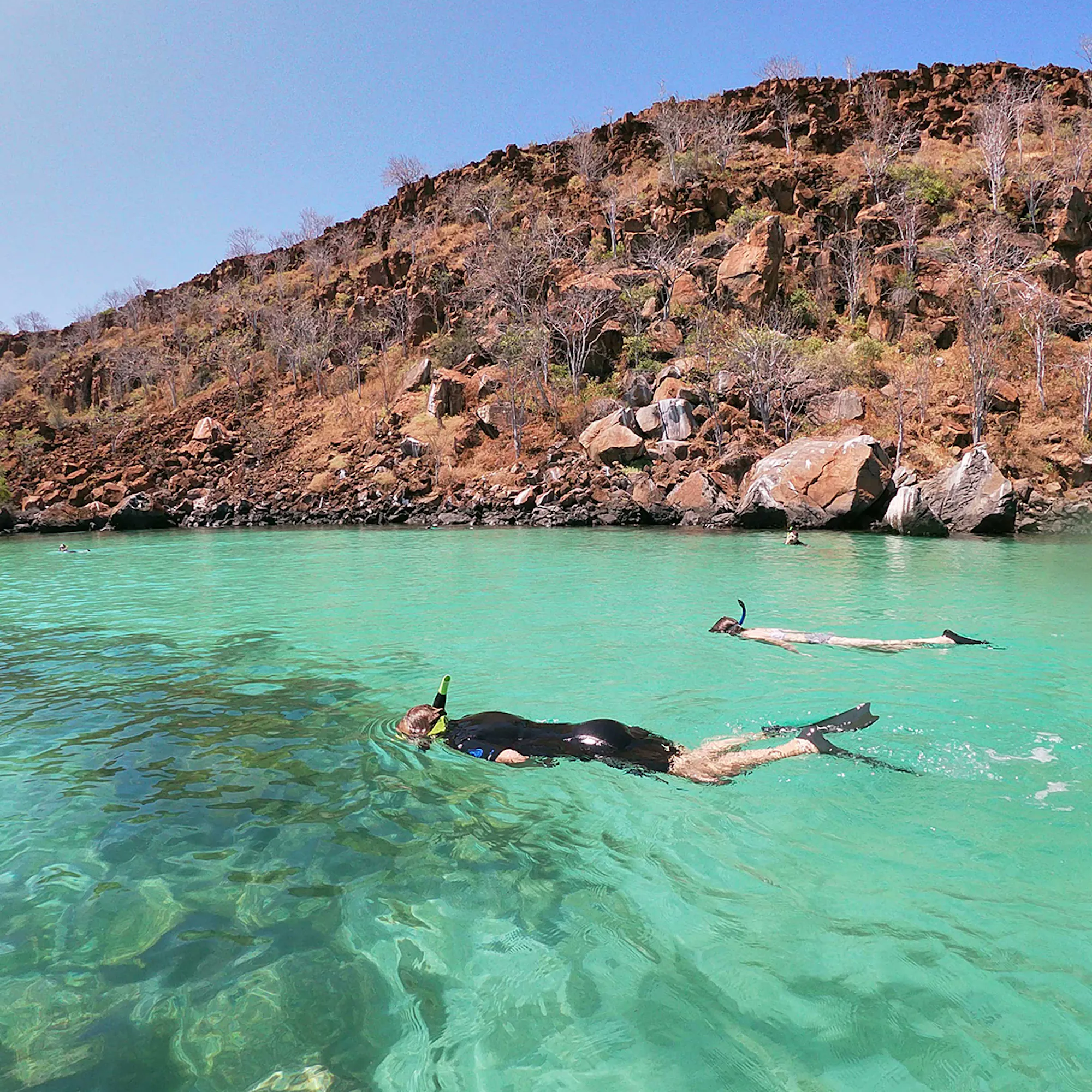 Snorkelers float in clear turquoise water beside dark volcanic rock at Montemar Eco Luxury Villas in Galapagos.