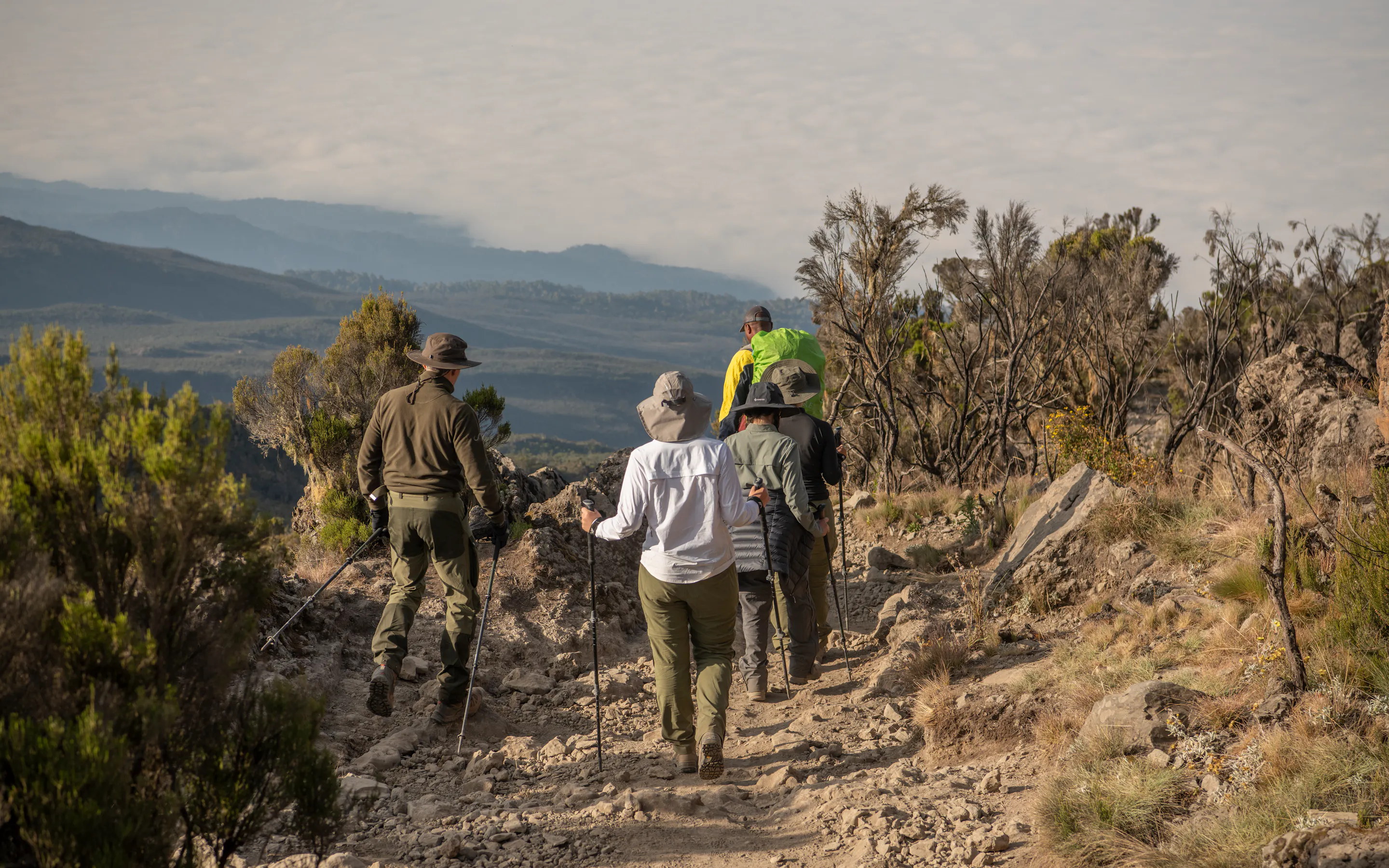 Climbers walk a rocky trail high on Kilimanjaro, with alpine shrubs, rugged slopes, and hazy mountains behind.