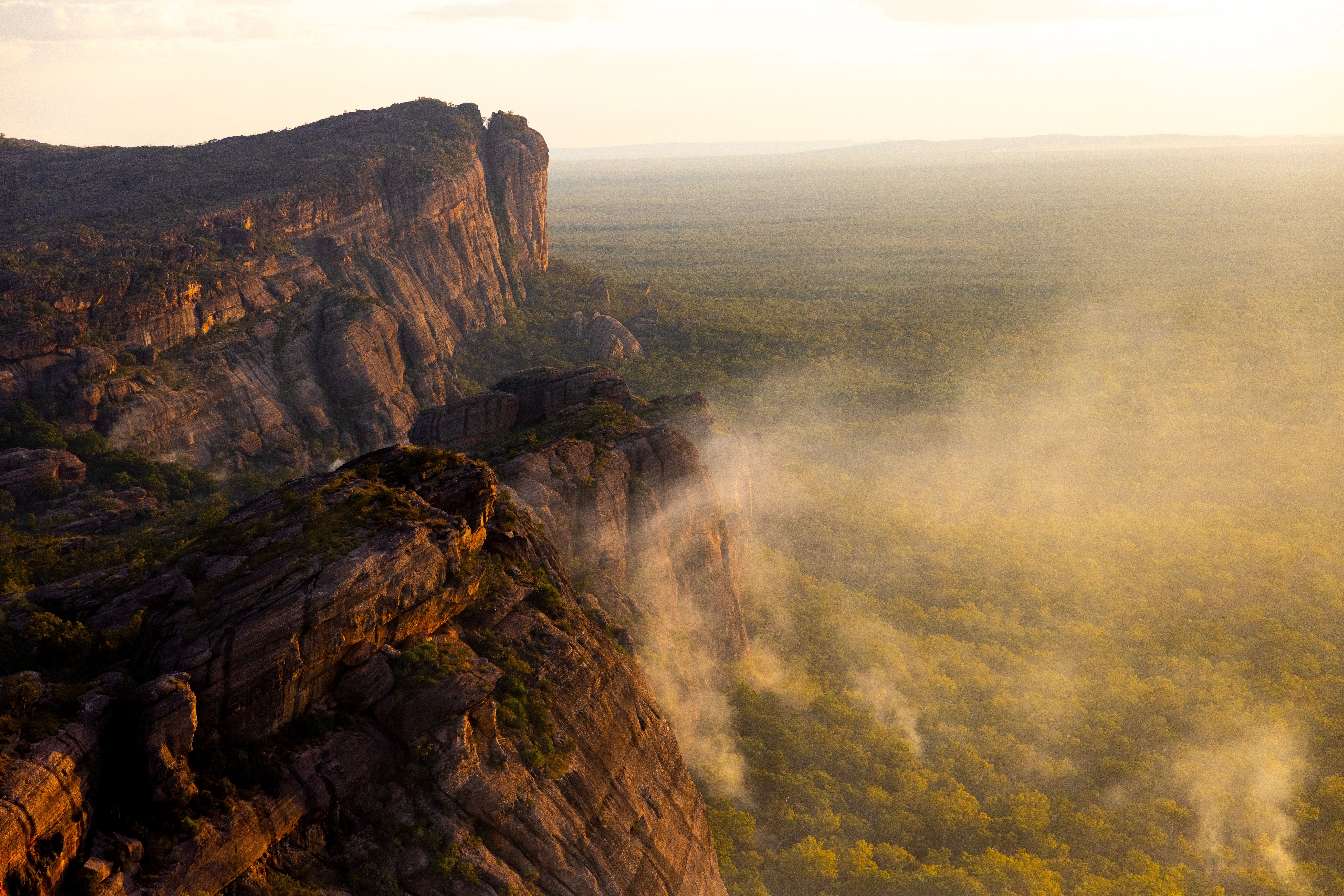 Dramatic view of towering sandstone cliffs overlooking a vast forest, bathed in soft golden light with mist rising from below.