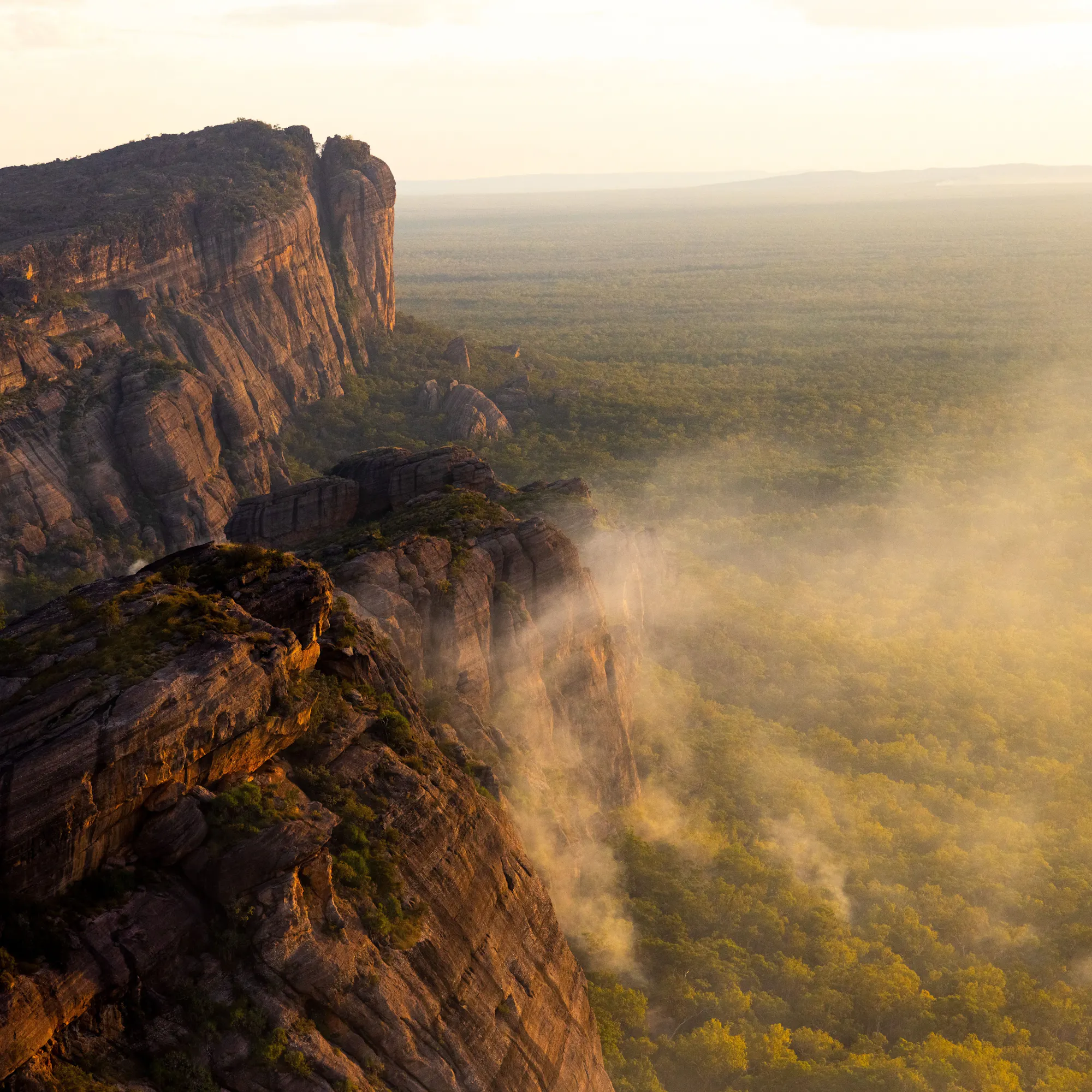 Dramatic view of towering sandstone cliffs overlooking a vast forest, bathed in soft golden light with mist rising from below.