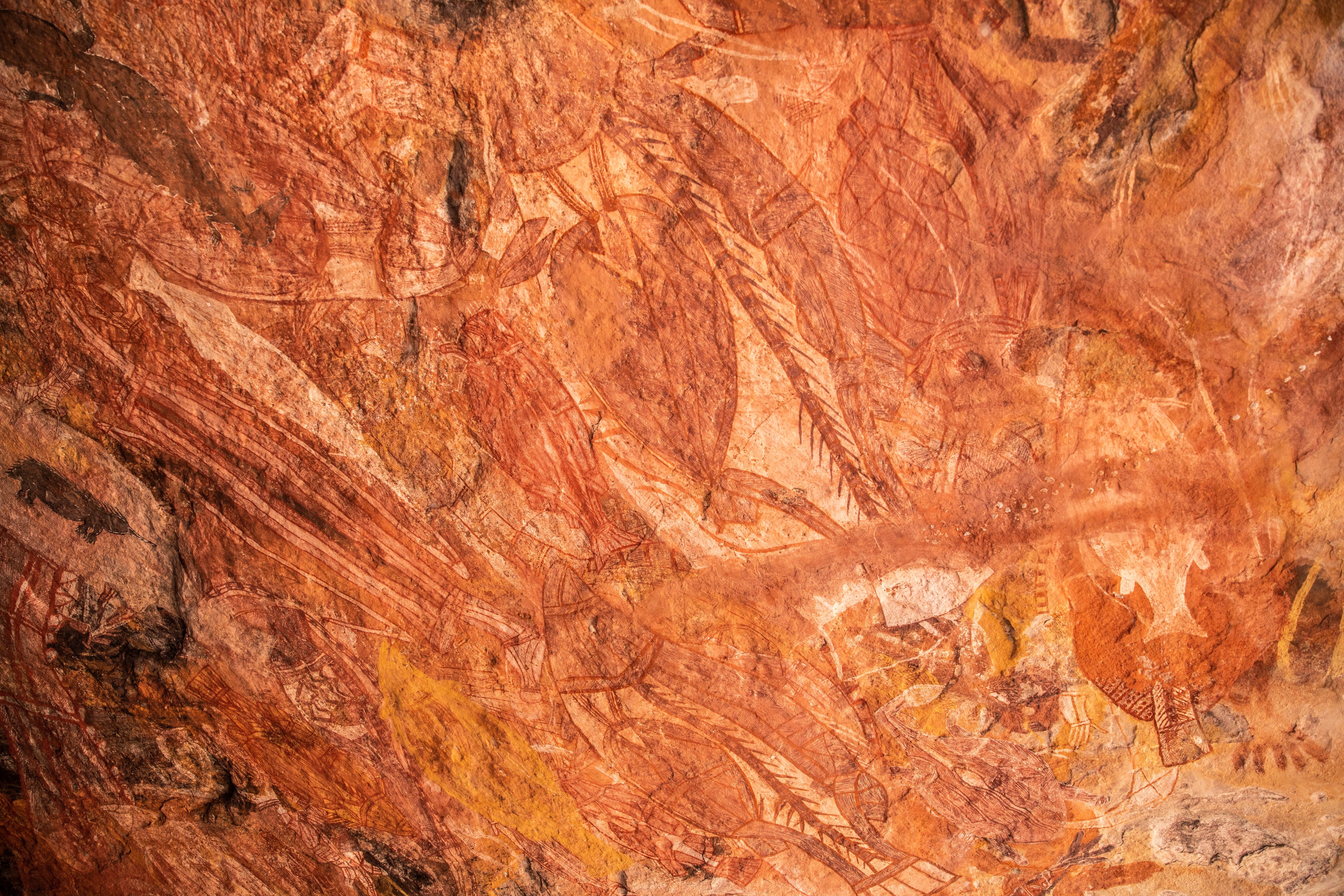 Ancient Aboriginal rock art painted in earthy red and orange tones, depicting animals and figures on a textured stone wall.