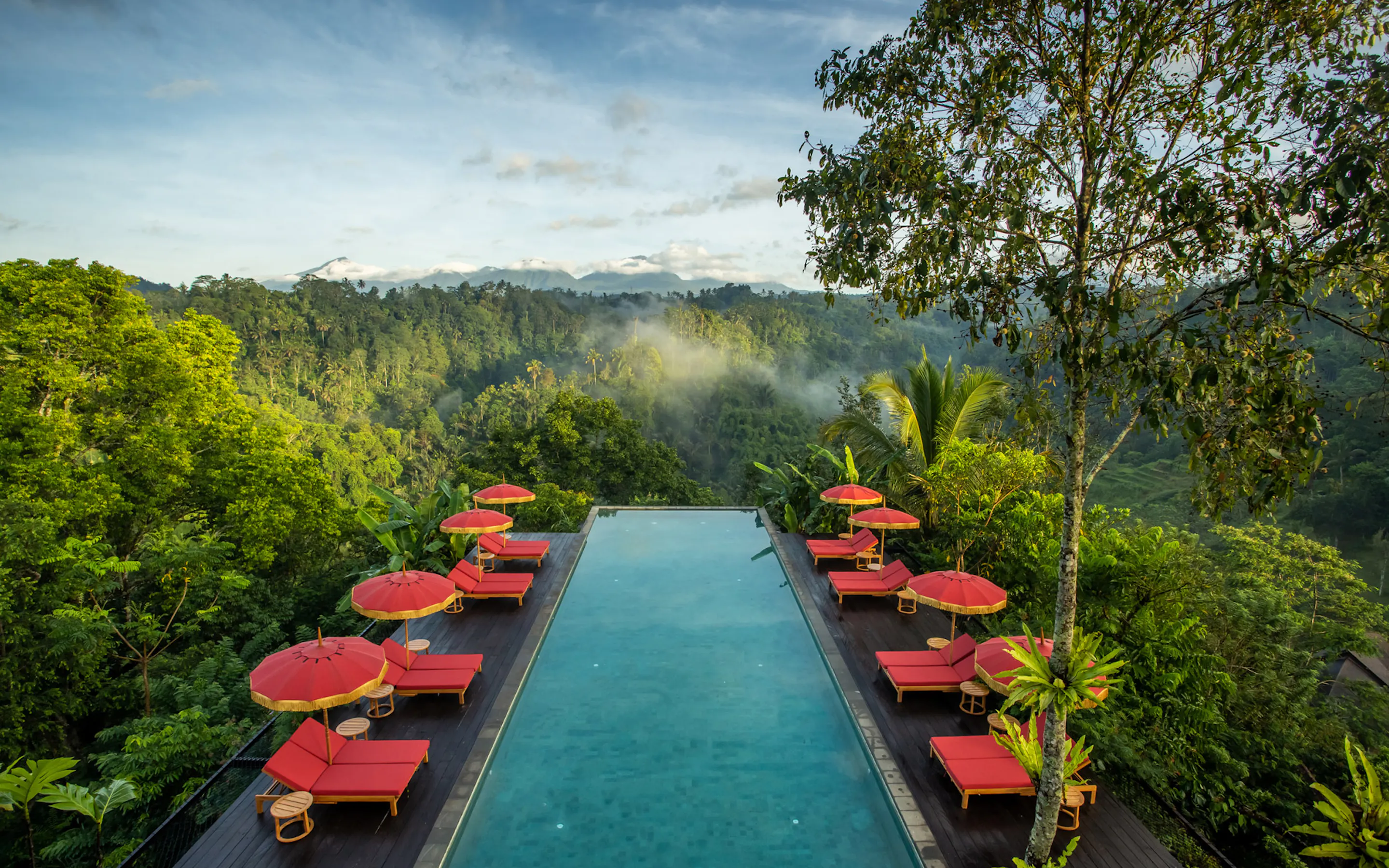 an infinity pool in the forest with red umbrellas and lounge chairs surrounding it