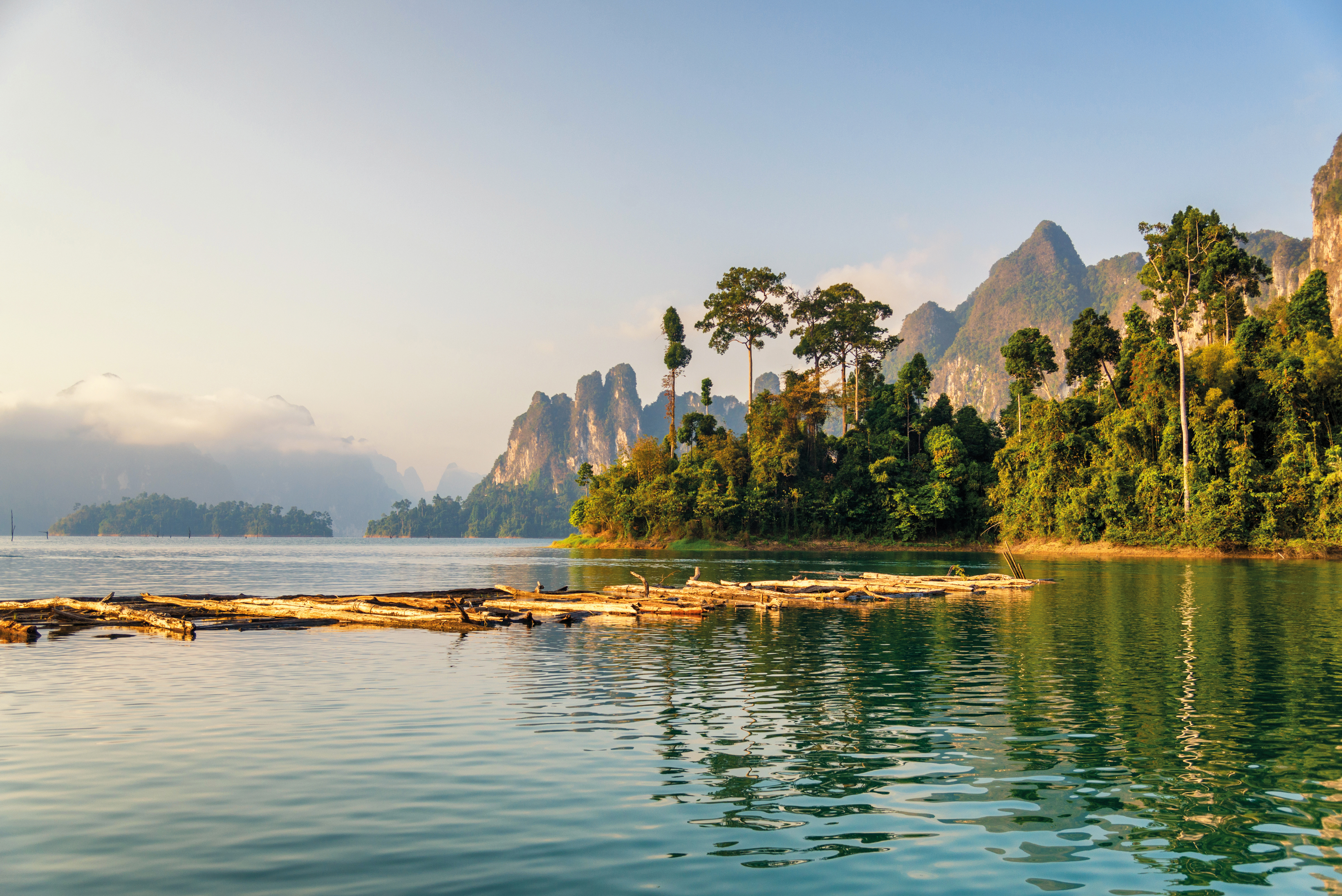 Calm green lake with floating logs, surrounded by lush forest and towering limestone karst formations.