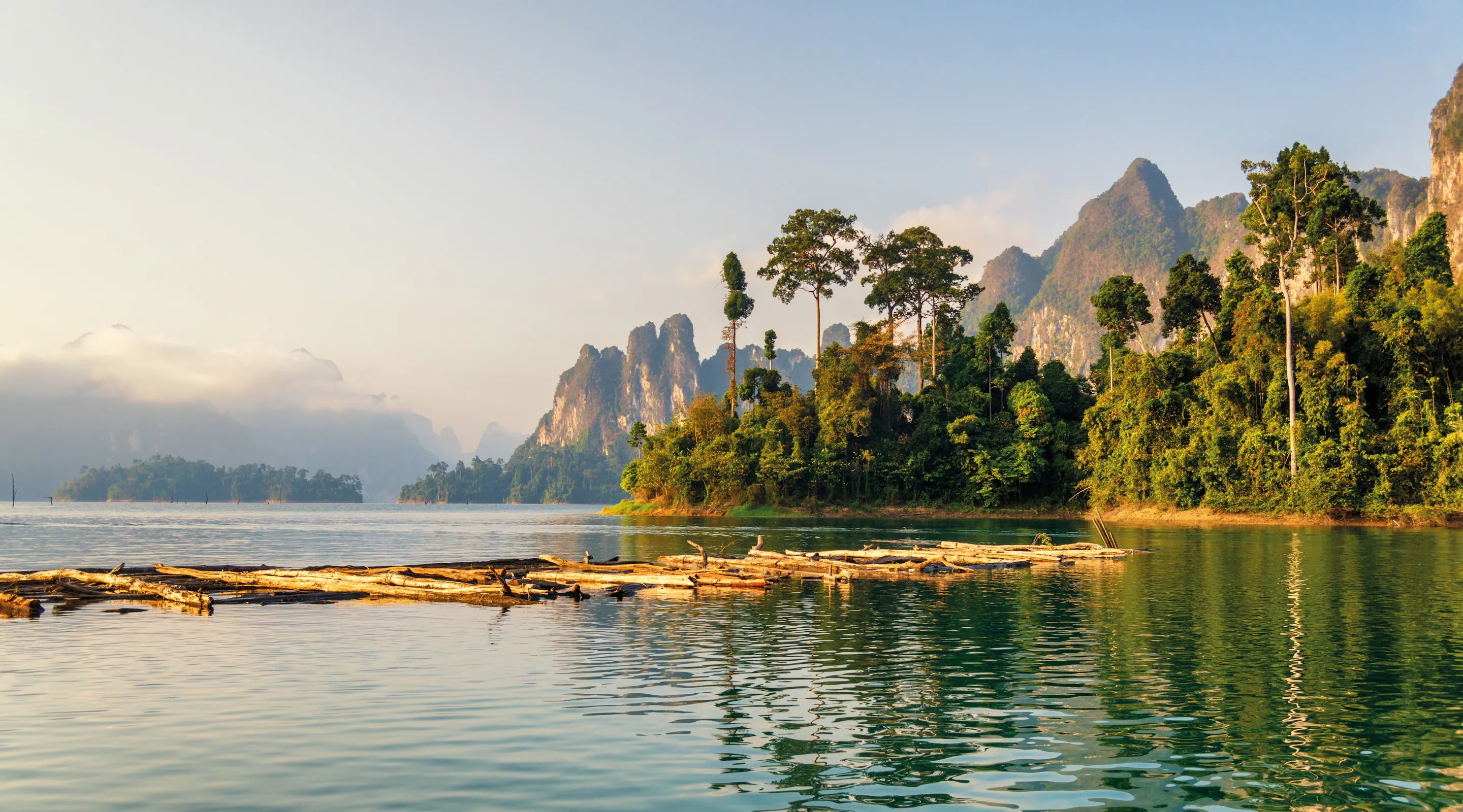 Calm green lake with floating logs, surrounded by lush forest and towering limestone karst formations.