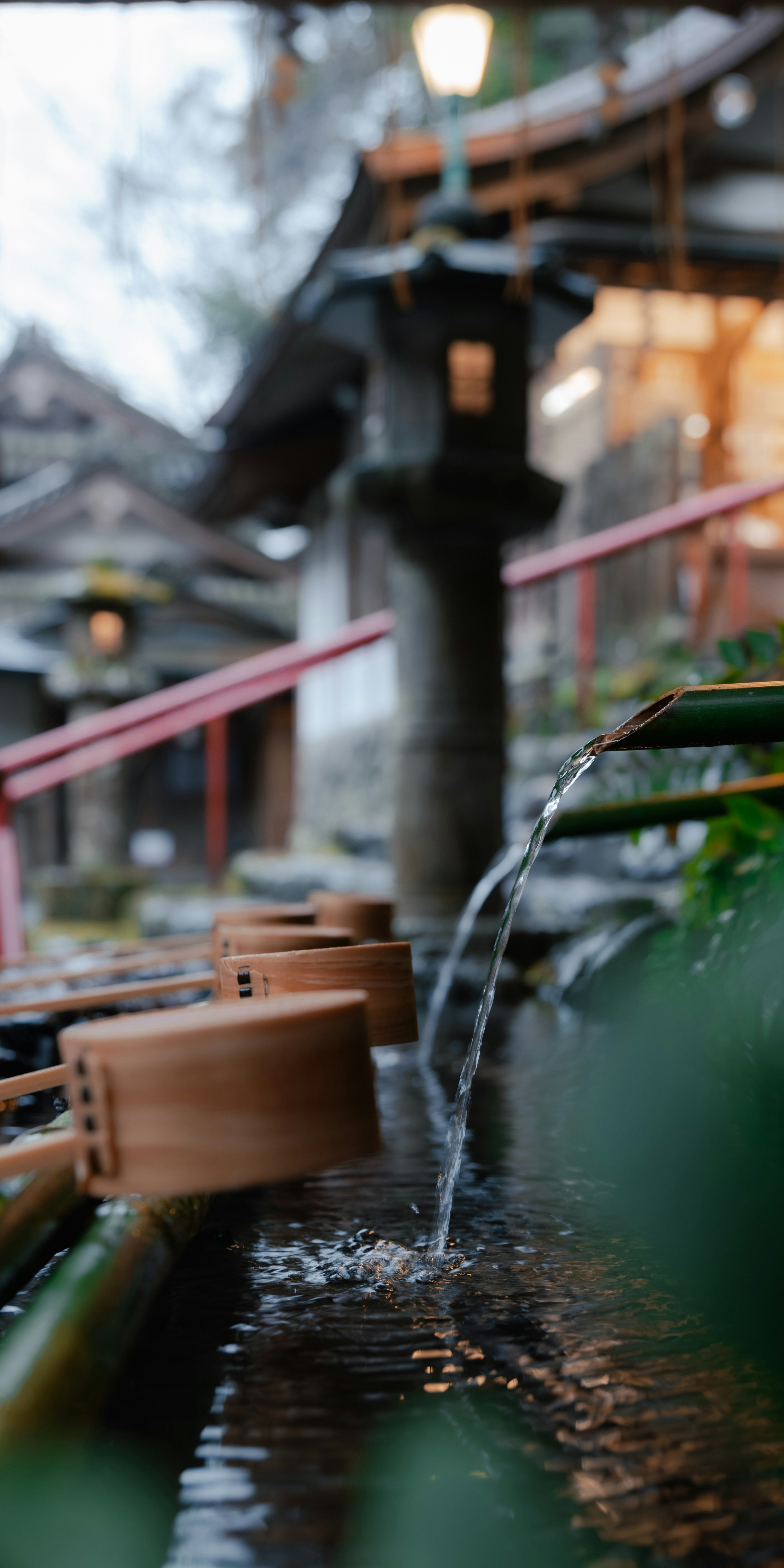 Water pours from a bamboo spout into a stone basin lined with ladles, with shrine lanterns softly blurred behind.