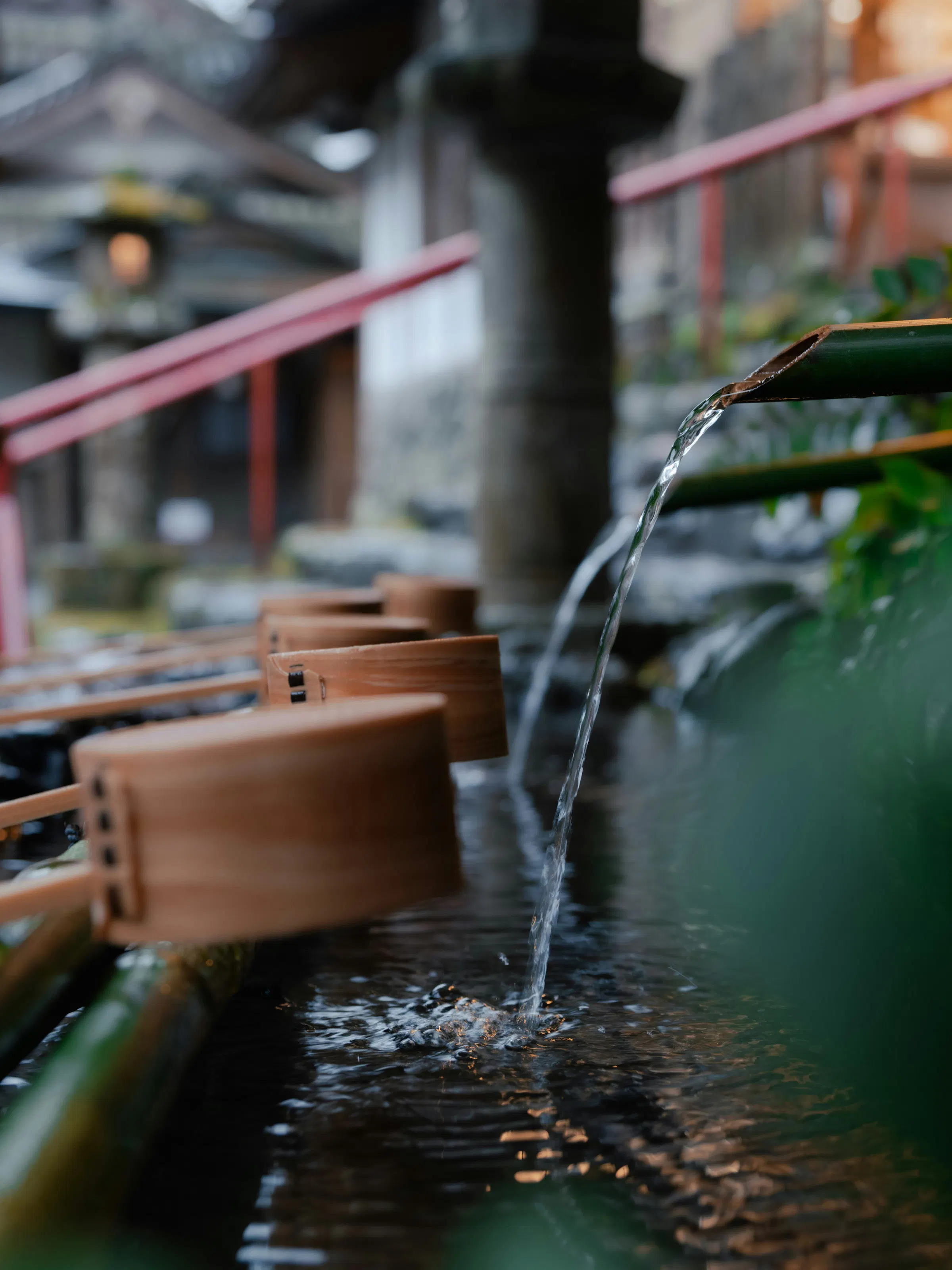 Water pours from a bamboo spout into a stone basin lined with ladles, with shrine lanterns softly blurred behind.