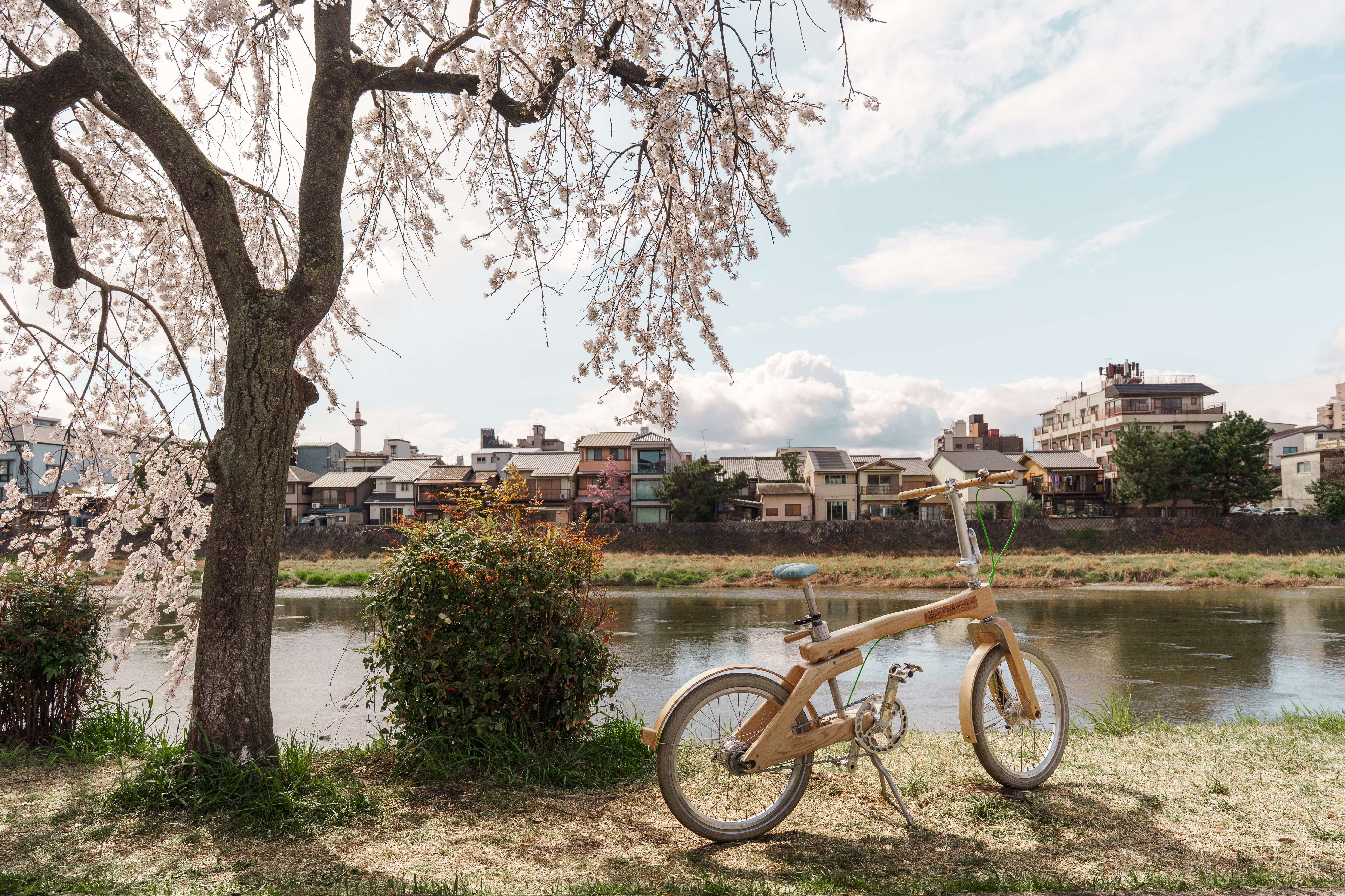 A wooden bicycle stands beside a riverside path in Kyoto, framed by cherry blossoms and houses across the water.