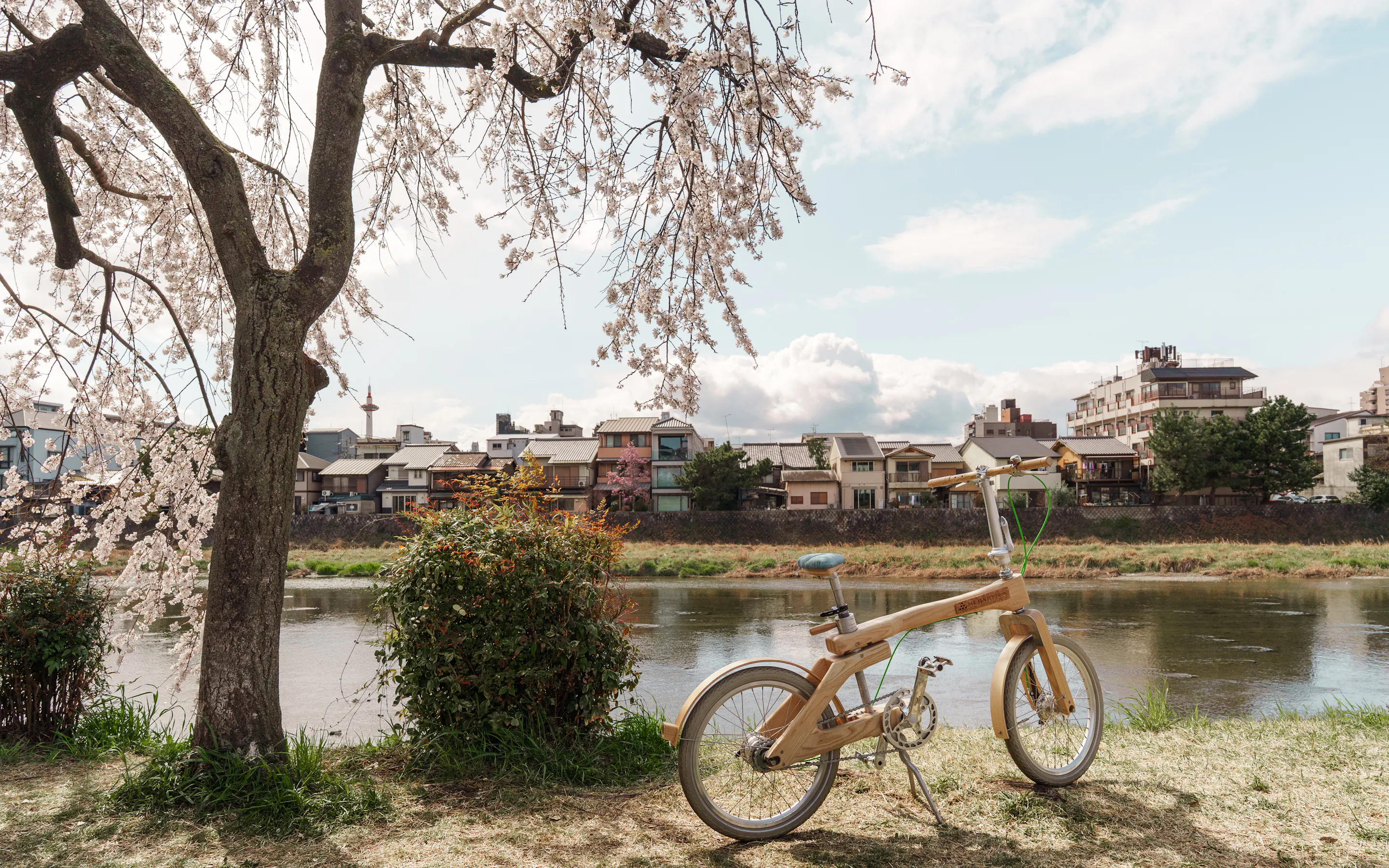 A wooden bicycle stands beside a riverside path in Kyoto, framed by cherry blossoms and houses across the water.
