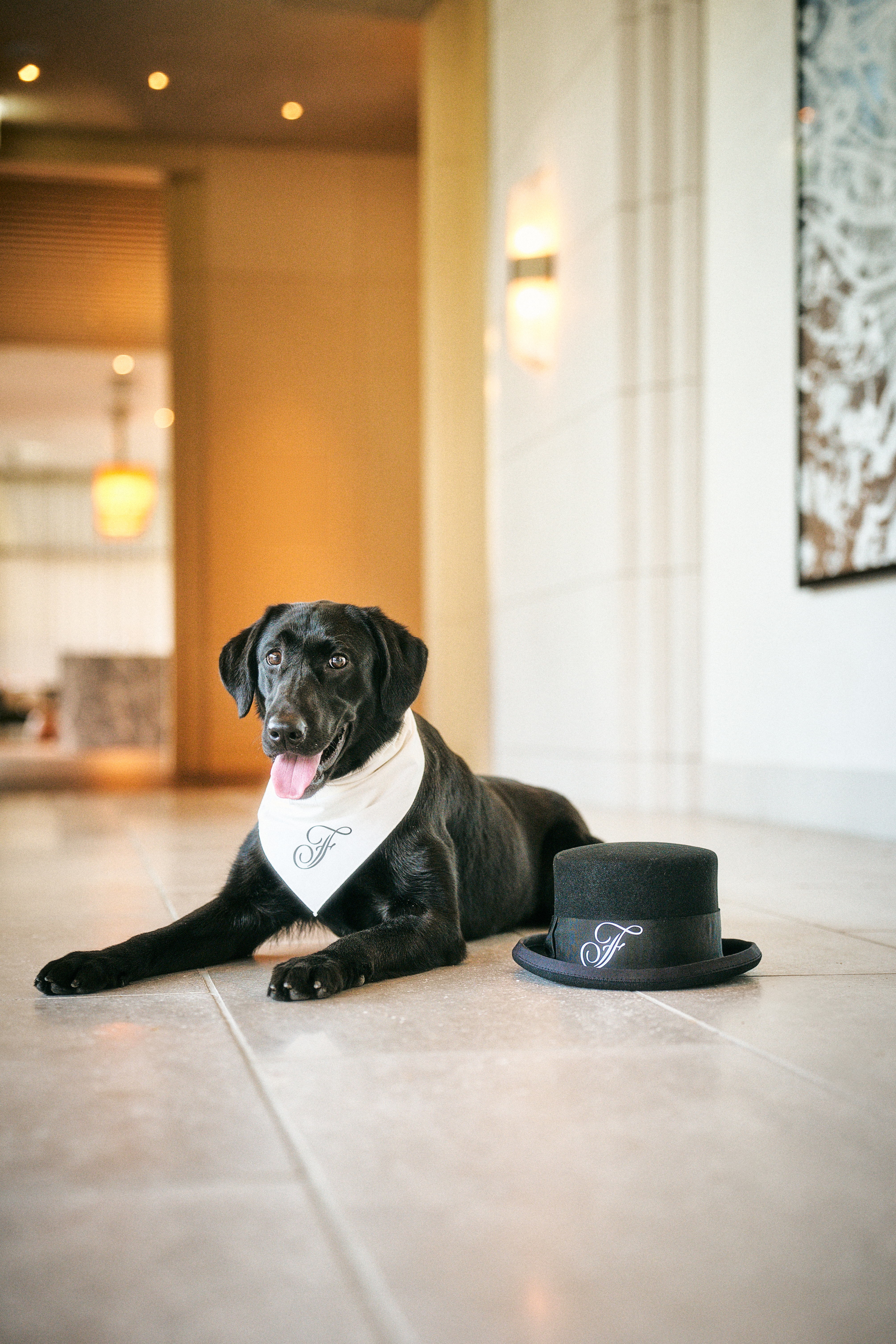 A black dog lies beside a bowler hat on a polished hotel floor, with warm lights and a softly blurred lobby behind.