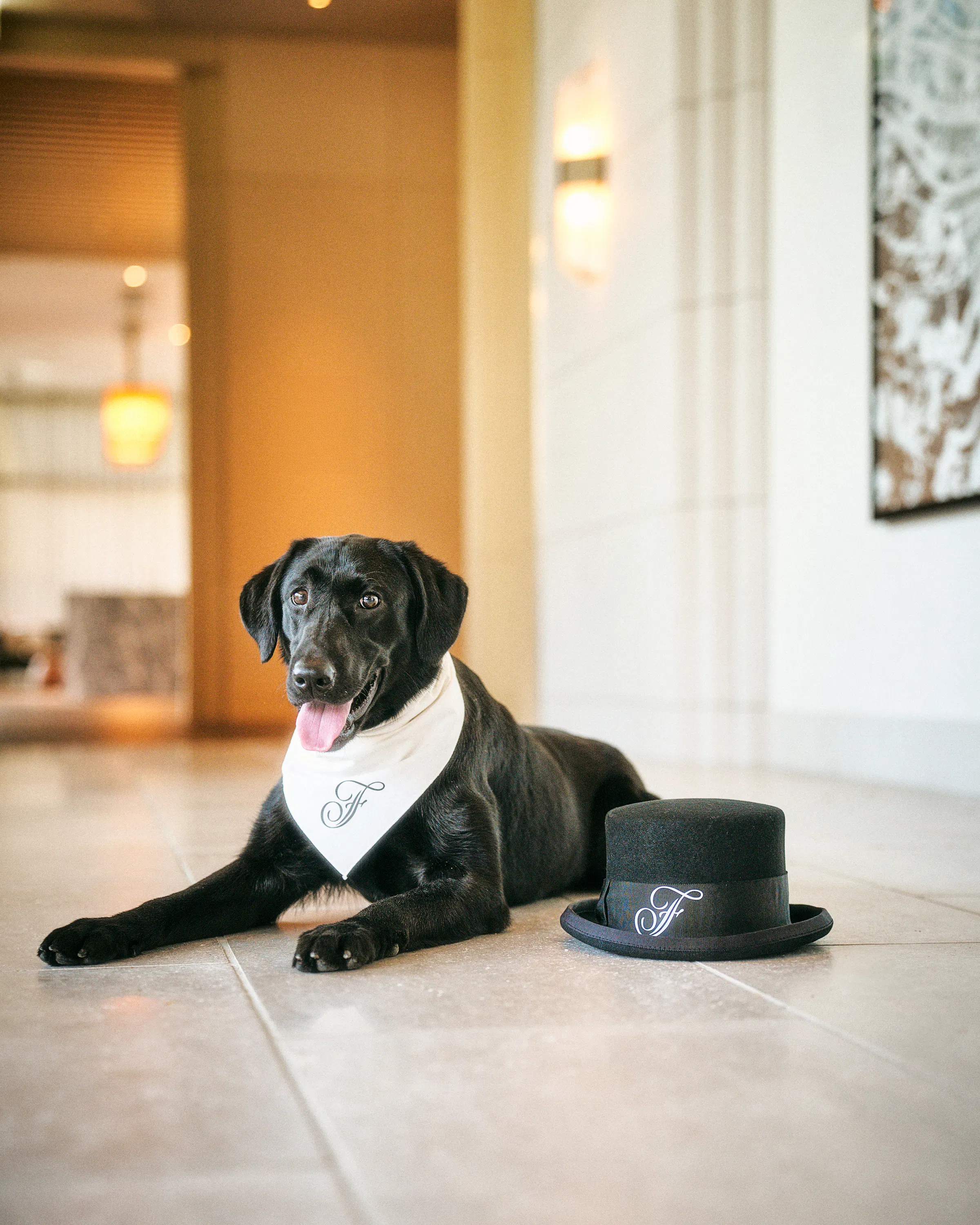 A black dog lies beside a bowler hat on a polished hotel floor, with warm lights and a softly blurred lobby behind.