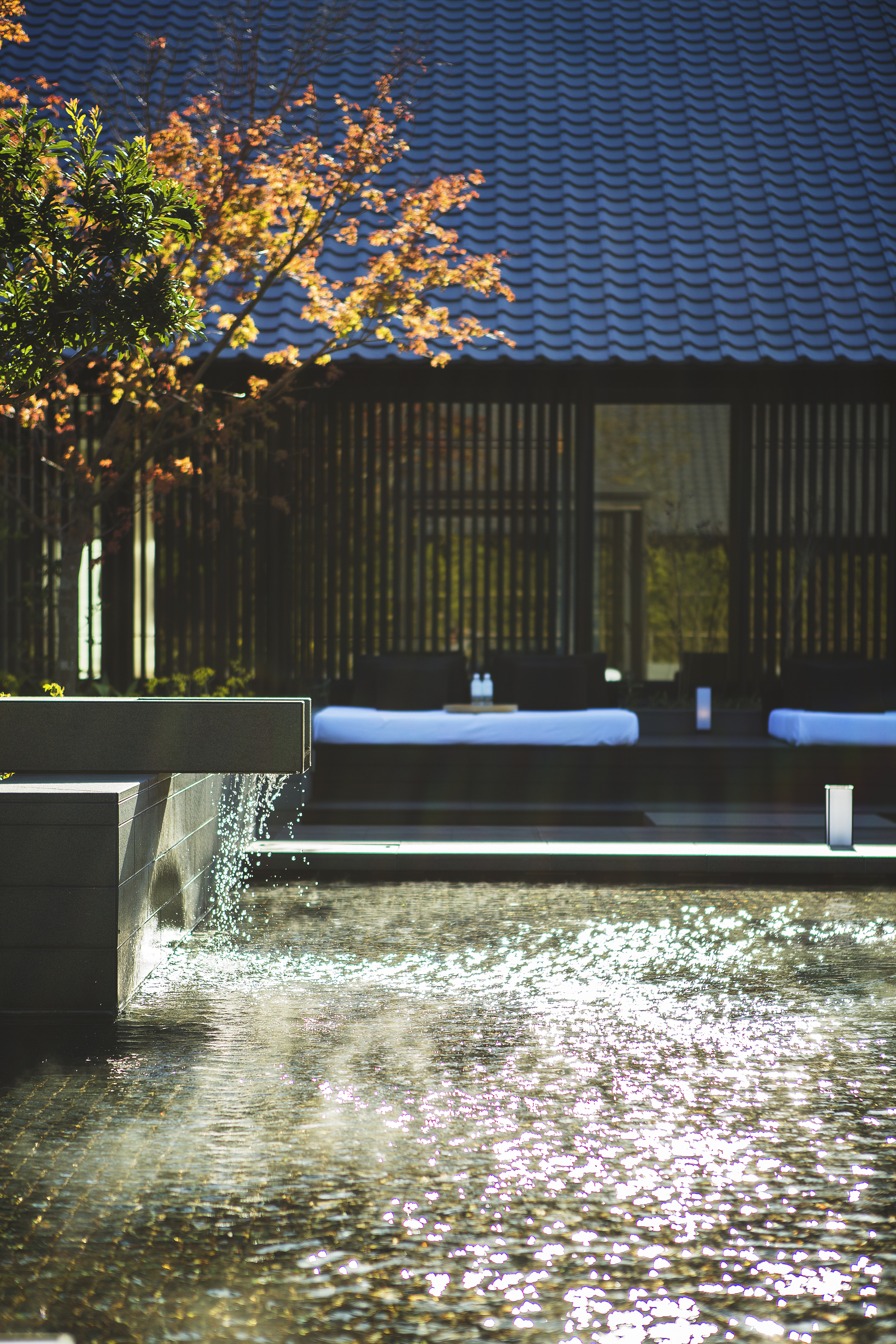 Sunlight sparkles across Amanemu's thermal spring, with autumn leaves, still water, and a dark timber facade beyond.