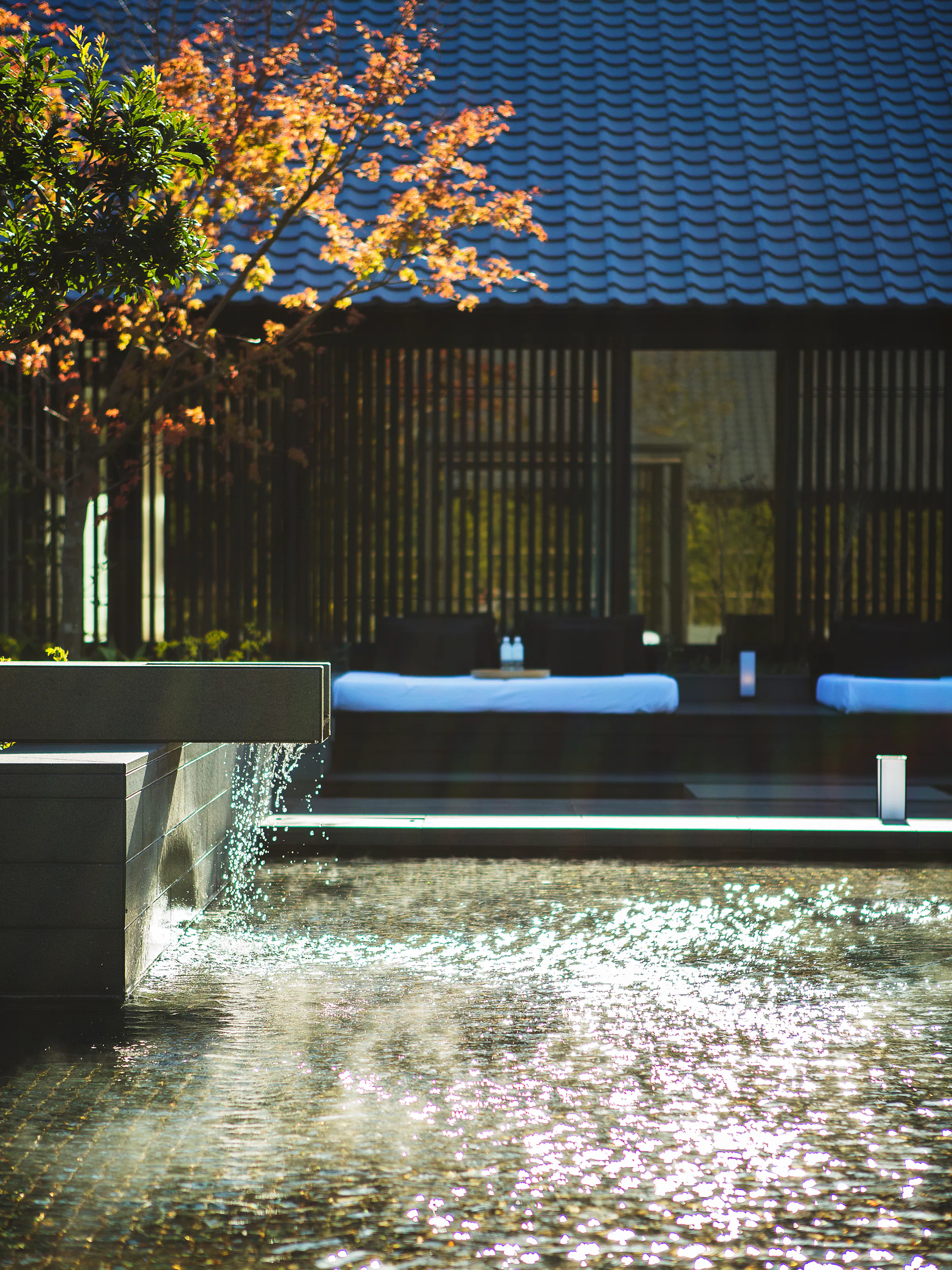Sunlight sparkles across Amanemu's thermal spring, with autumn leaves, still water, and a dark timber facade beyond.