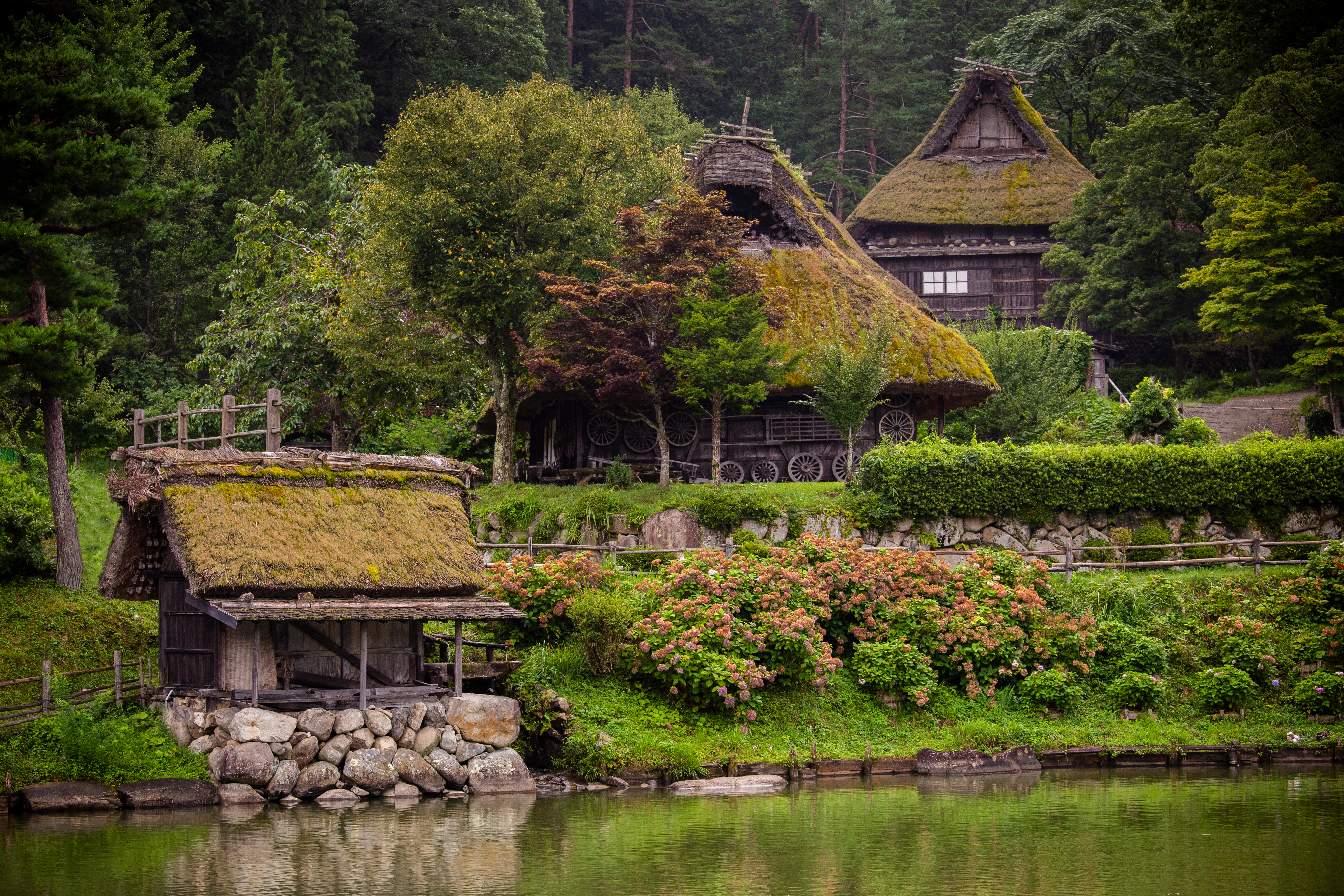 Gassho-zukuri houses sit beside a still pond in Takayama, framed by dense forest, hedges, and late-season flowers.