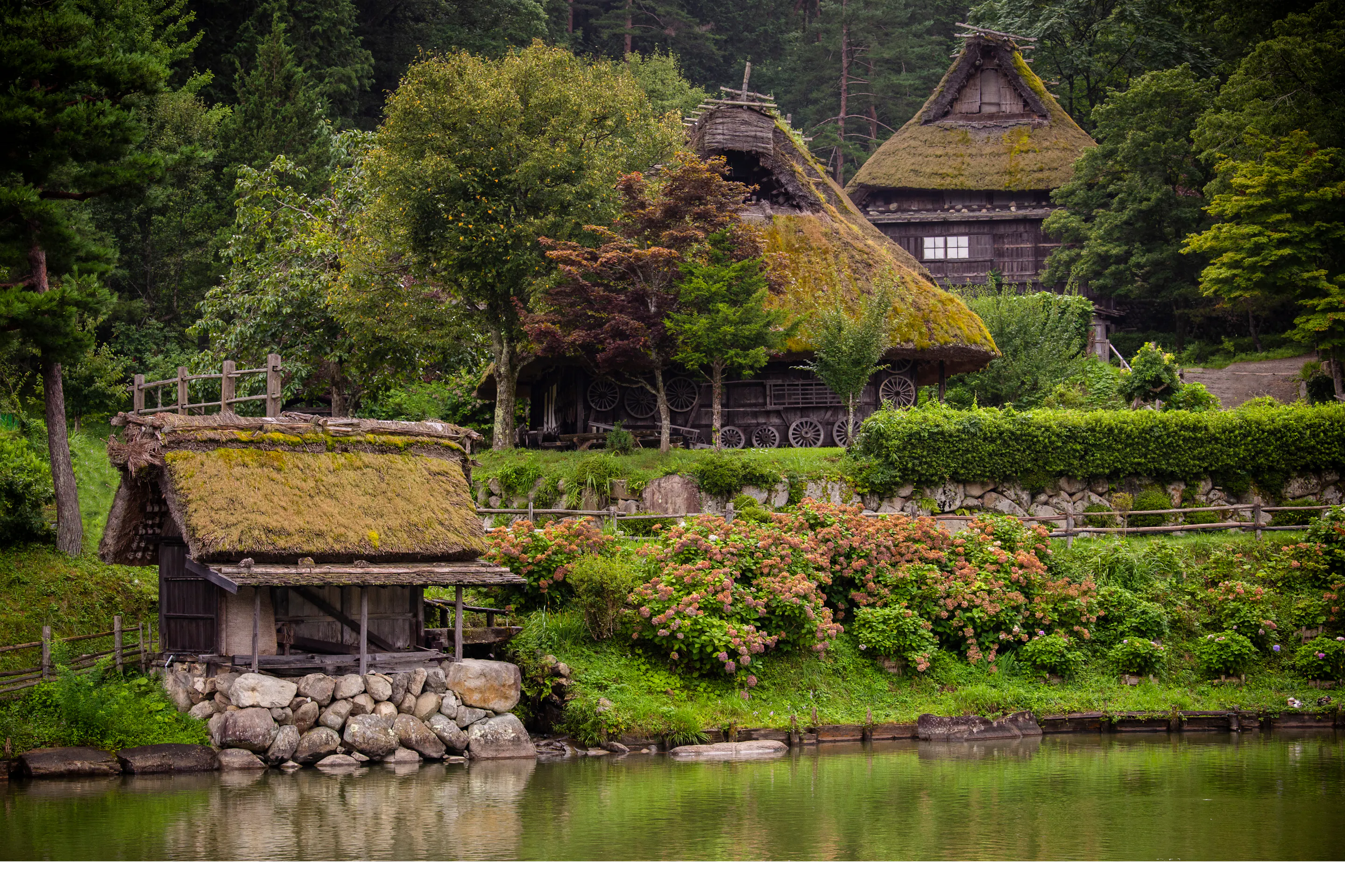 Gassho-zukuri houses sit beside a still pond in Takayama, framed by dense forest, hedges, and late-season flowers.
