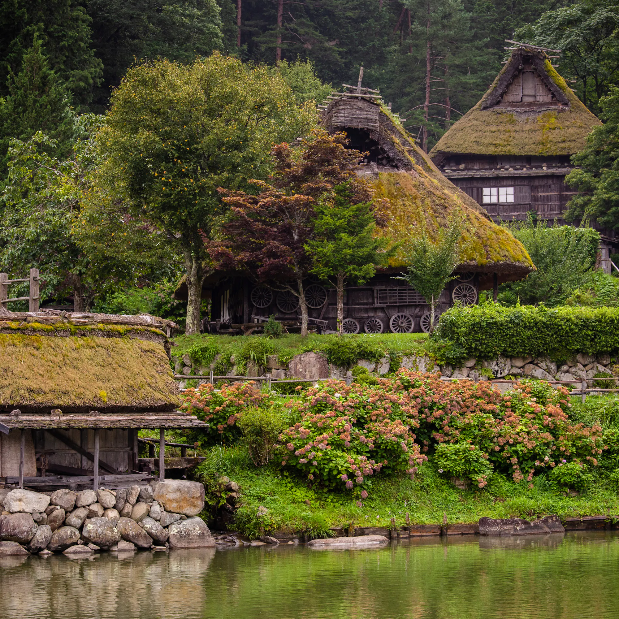 Gassho-zukuri houses sit beside a still pond in Takayama, framed by dense forest, hedges, and late-season flowers.