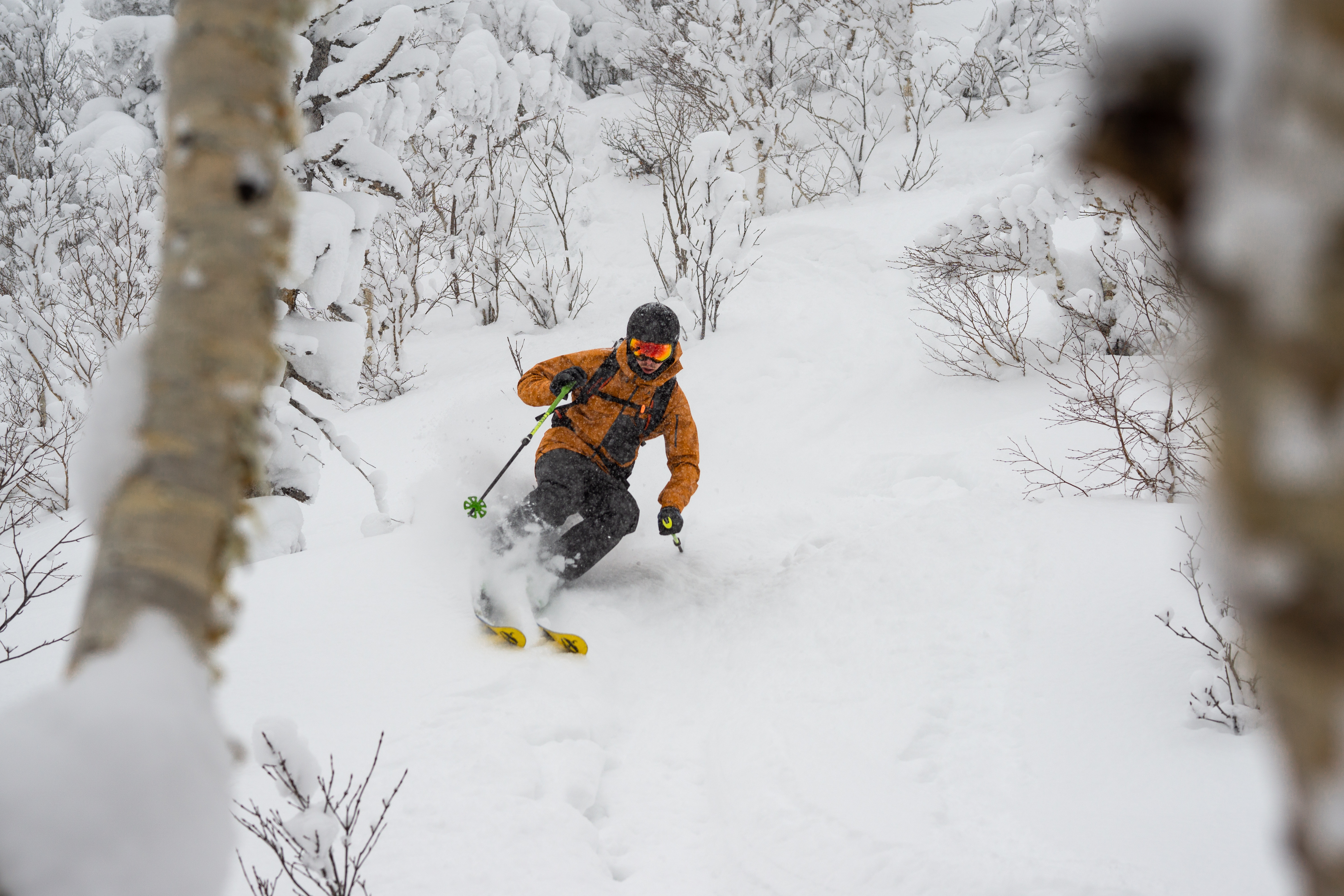 A skier cuts through deep powder on a snowy Hokkaido slope, framed by birch trunks and leafless winter shrubs.