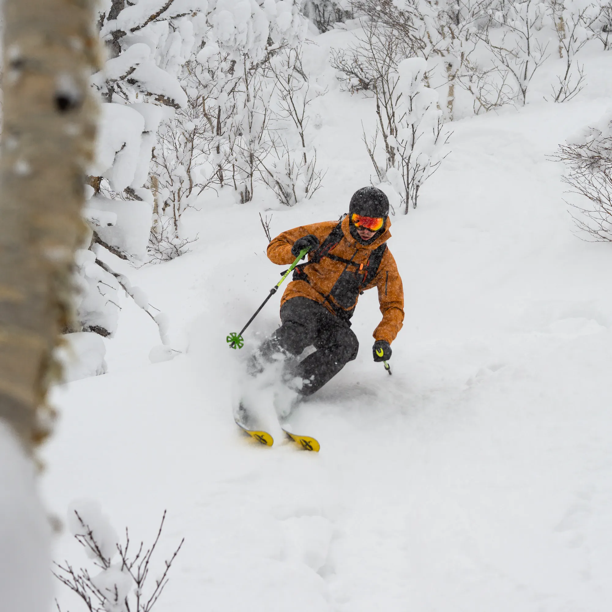 A skier cuts through deep powder on a snowy Hokkaido slope, framed by birch trunks and leafless winter shrubs.