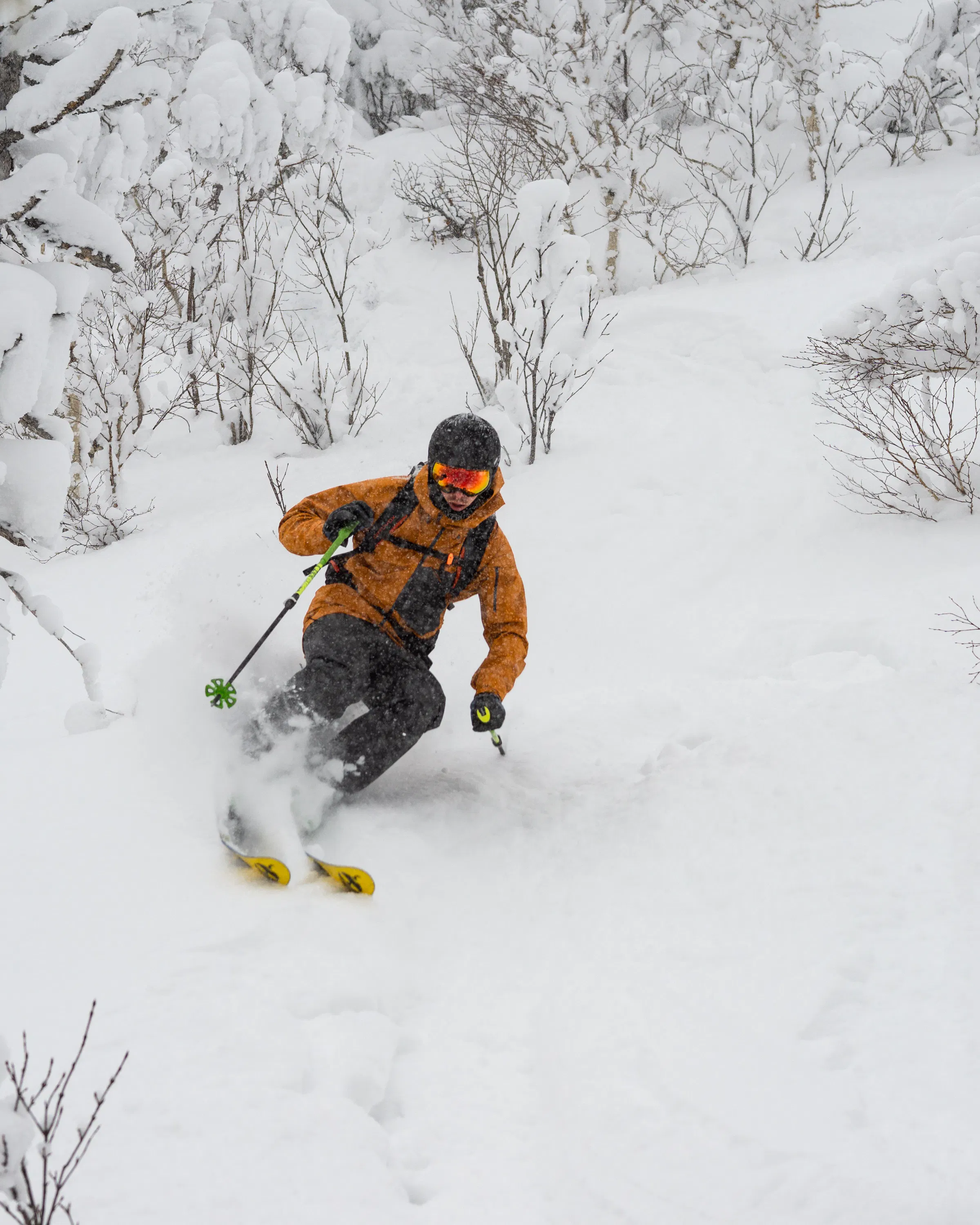 A skier cuts through deep powder on a snowy Hokkaido slope, framed by birch trunks and leafless winter shrubs.