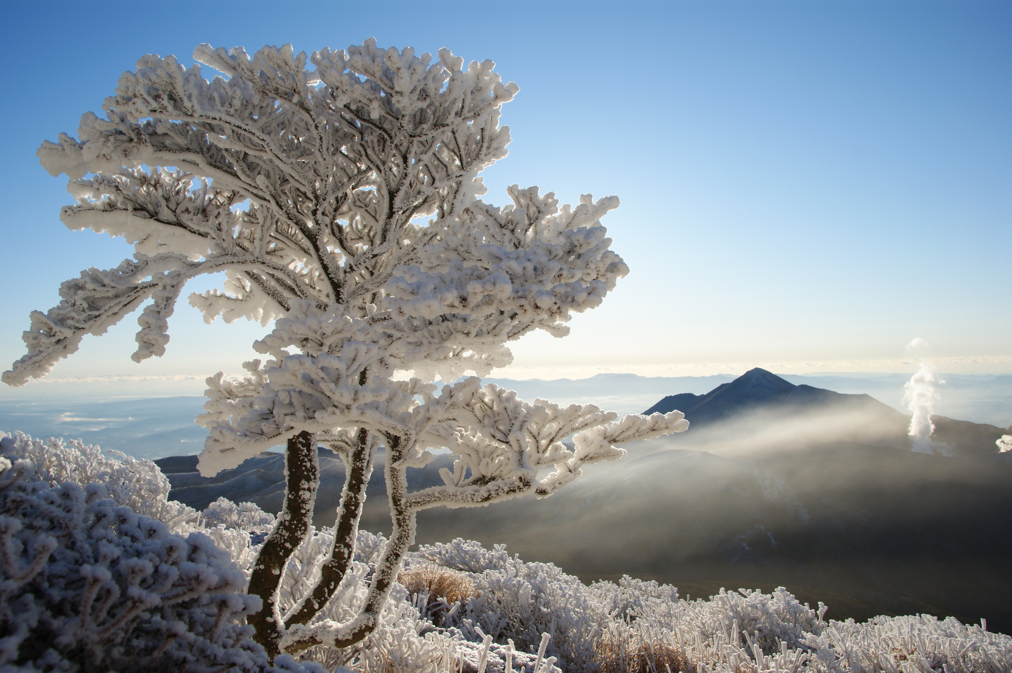 Snow-covered trees frame Mount Takachiho and a plume of steam rising above distant volcanic ridges in clear light.