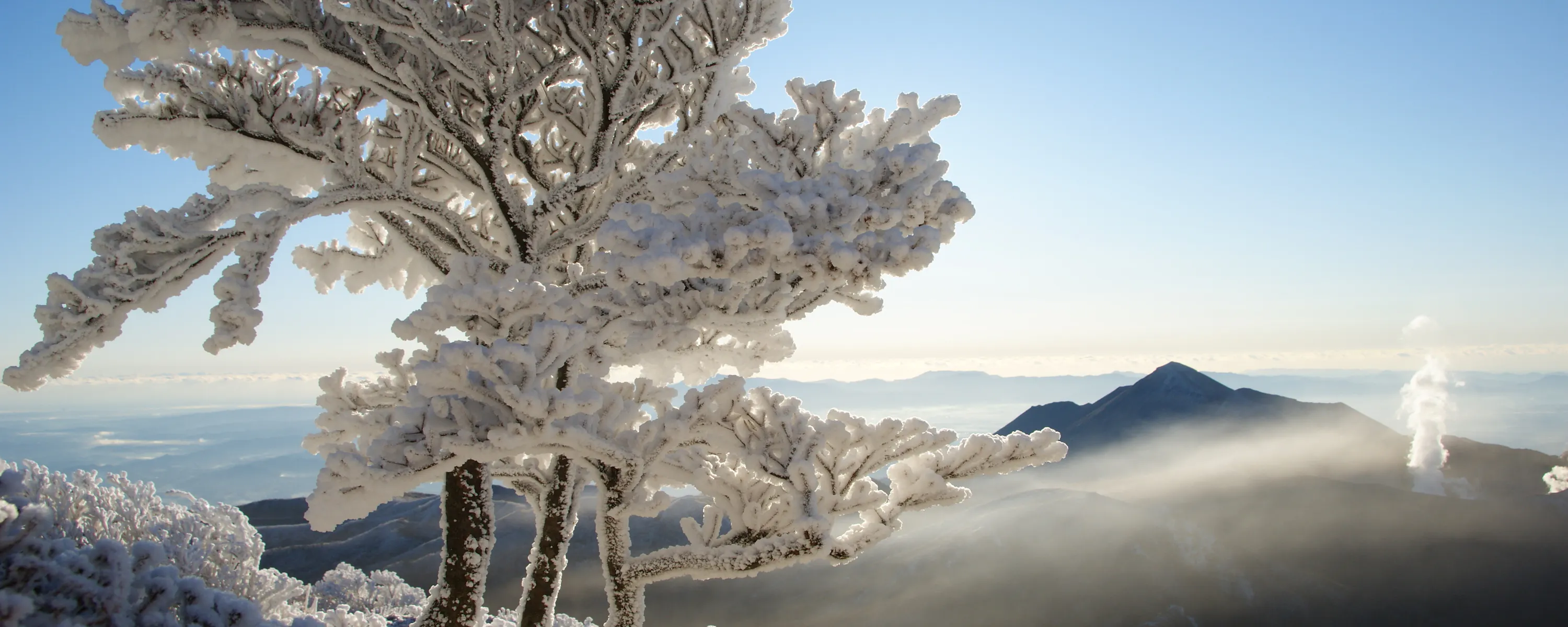 Snow-covered trees frame Mount Takachiho and a plume of steam rising above distant volcanic ridges in clear light.