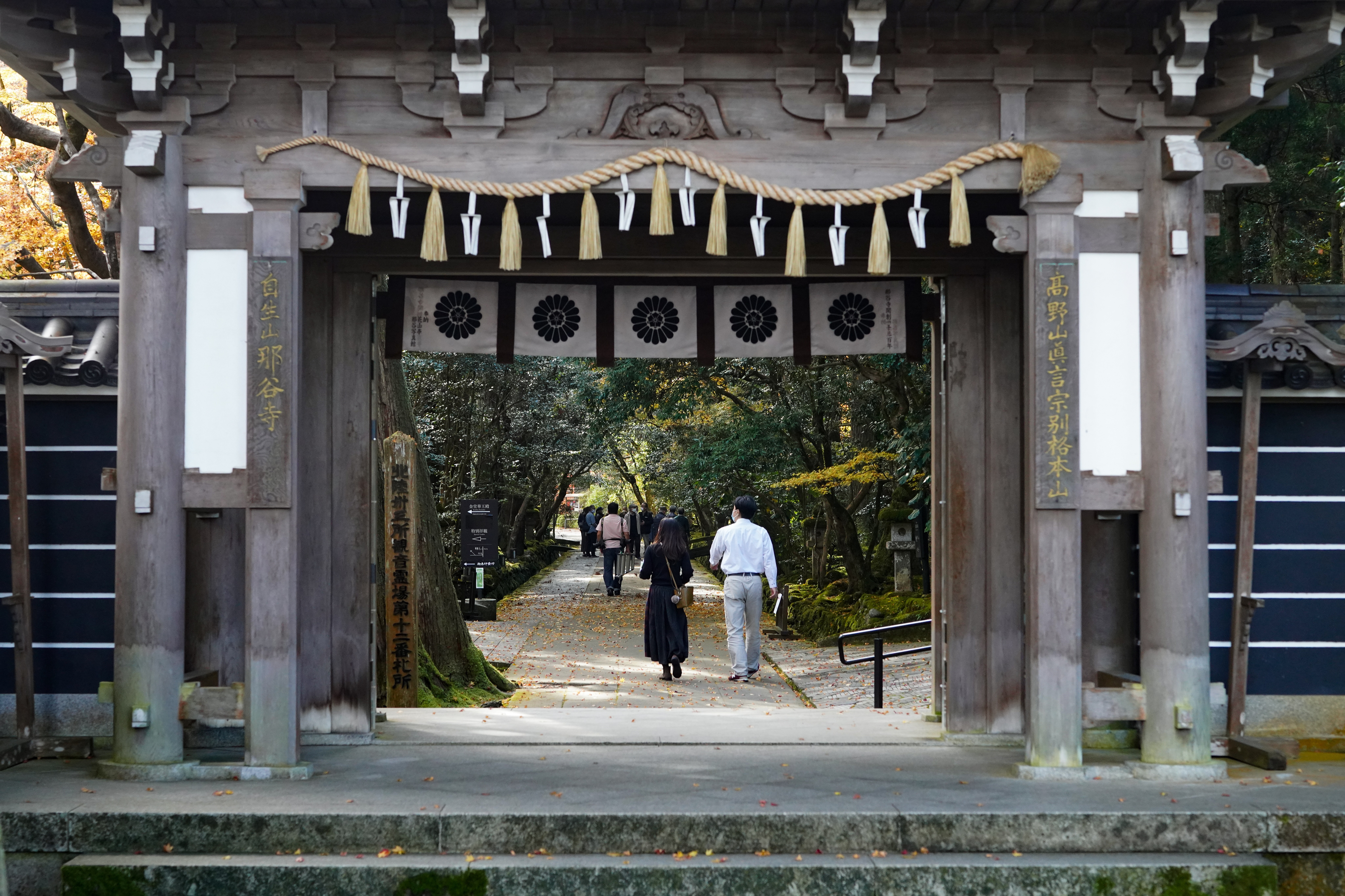 Visitors walk through a wooden temple gate hung with sacred ropes toward a shaded stone path and autumn trees.