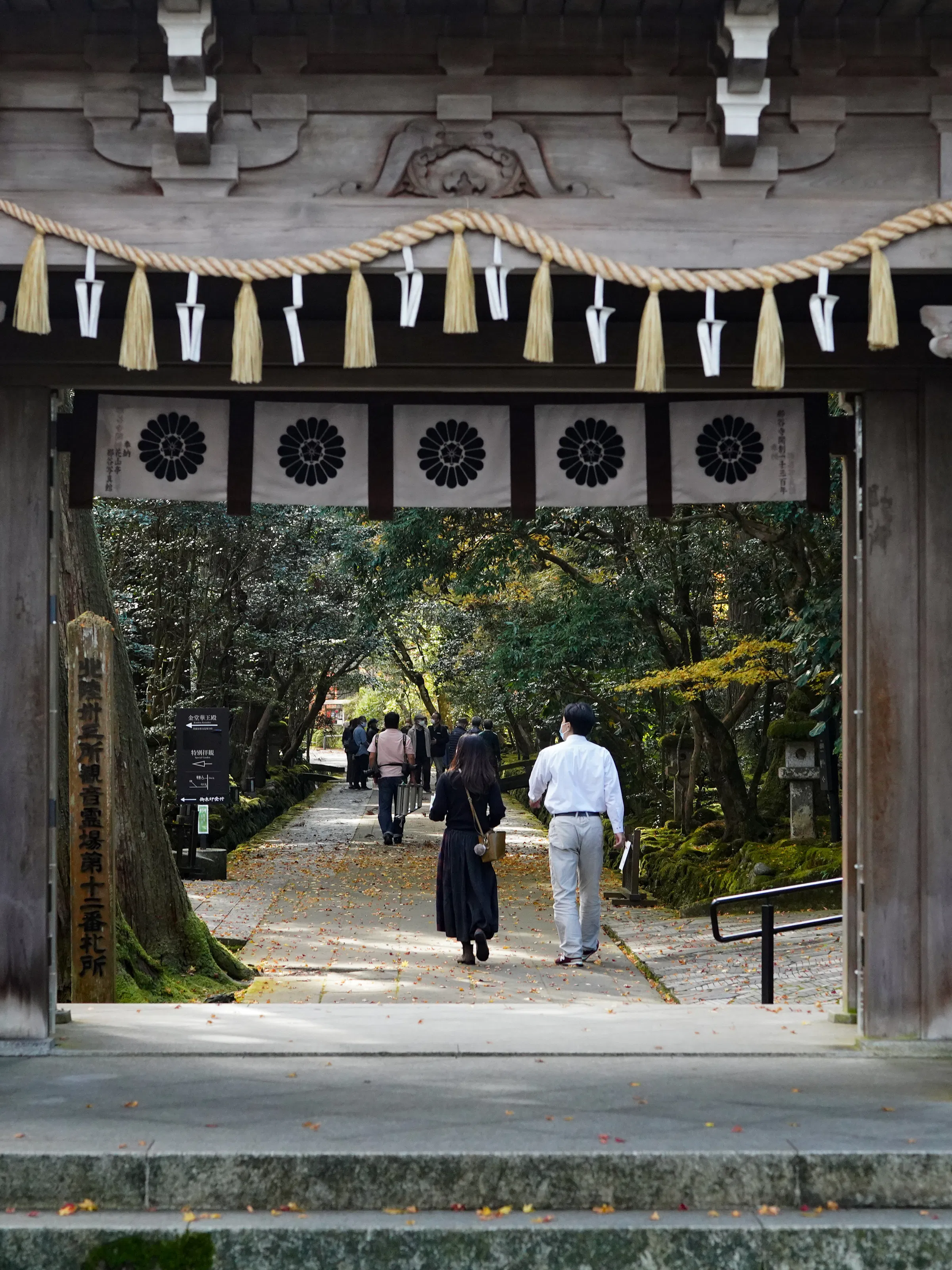 Visitors walk through a wooden temple gate hung with sacred ropes toward a shaded stone path and autumn trees.