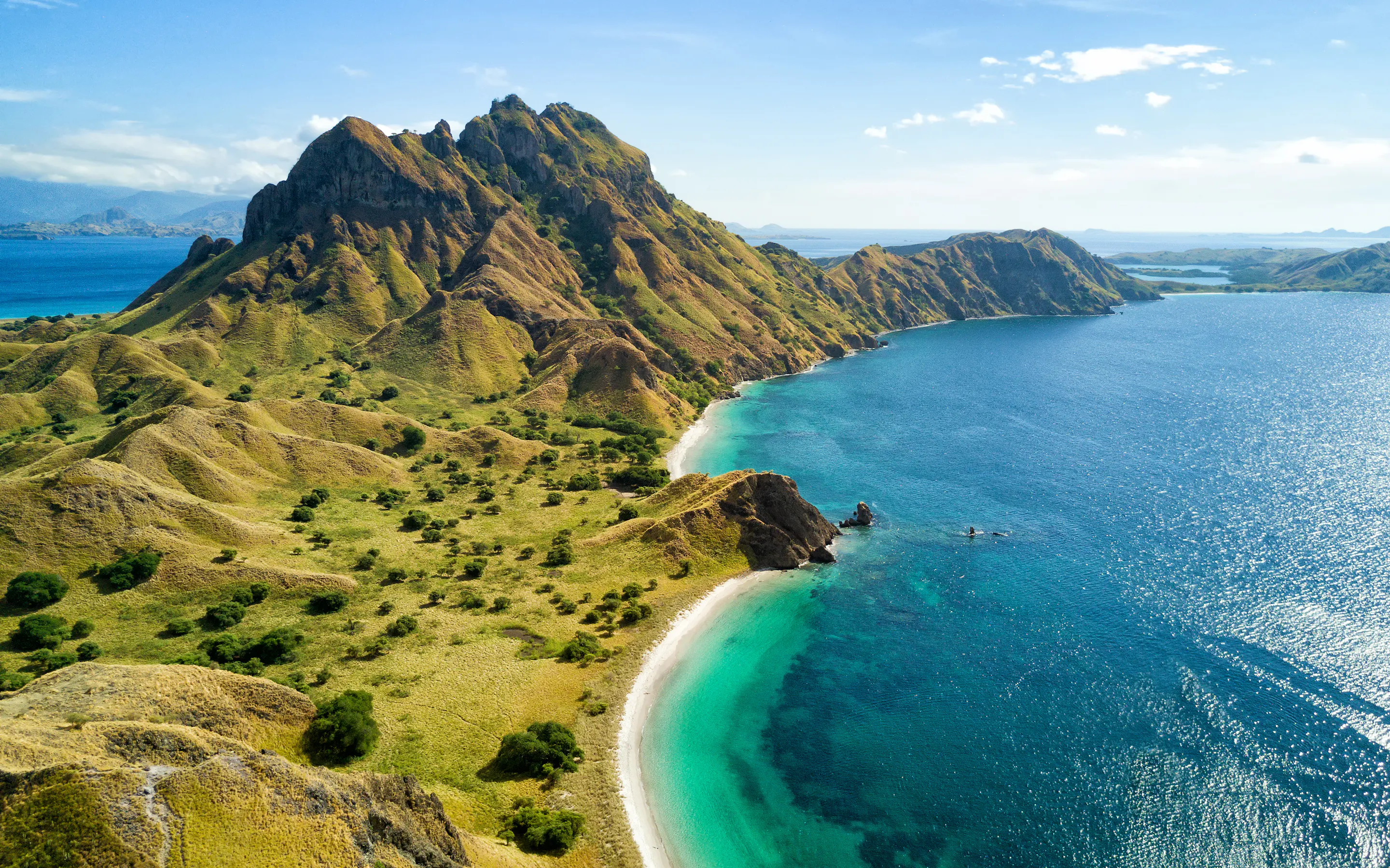 Padar Island's steep green ridges curve around two bright bays, with turquoise water tracing the shore below.