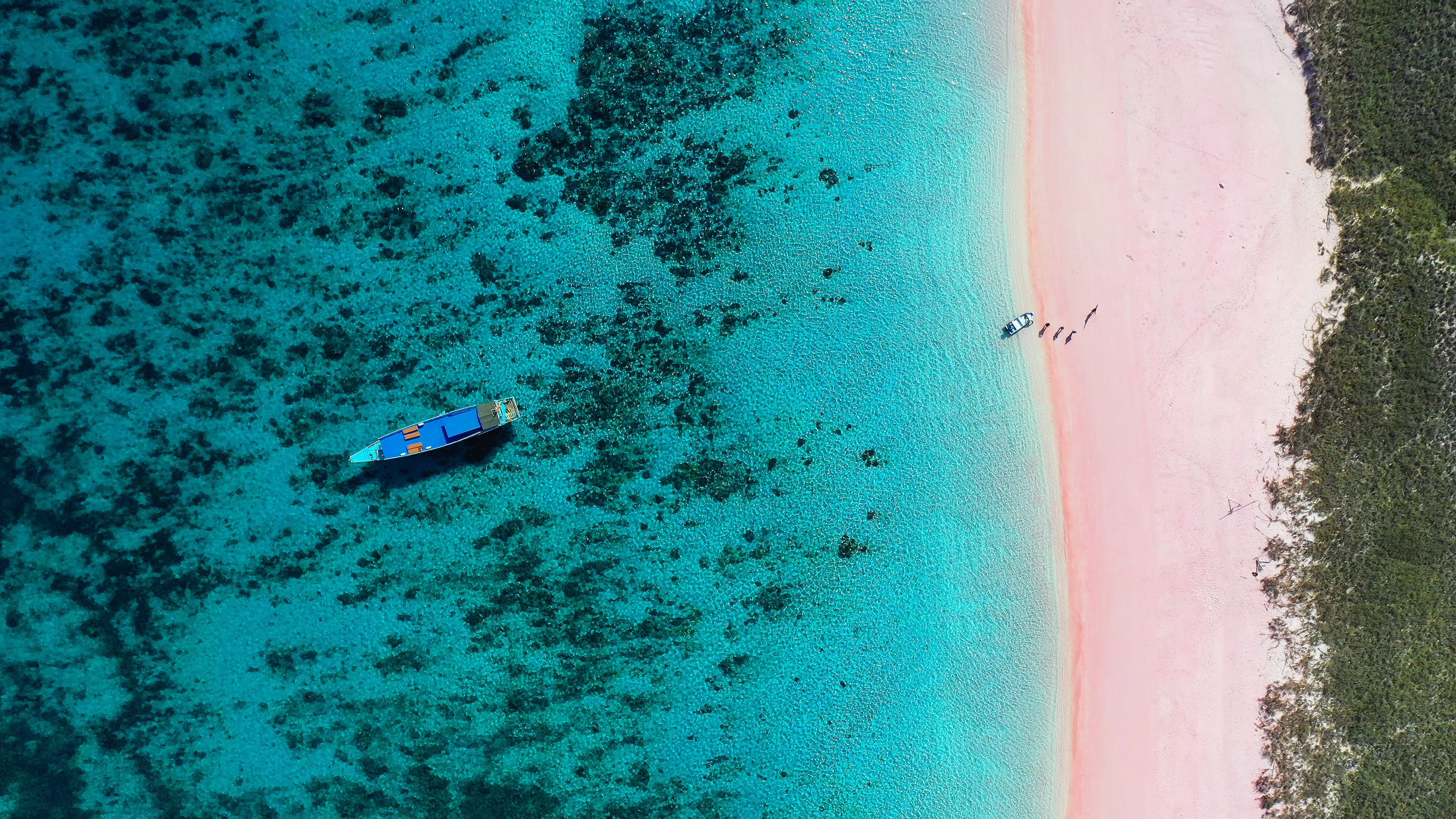 An aerial view shows a blue boat offshore from a pale pink beach, where clear water reveals dark coral patches.