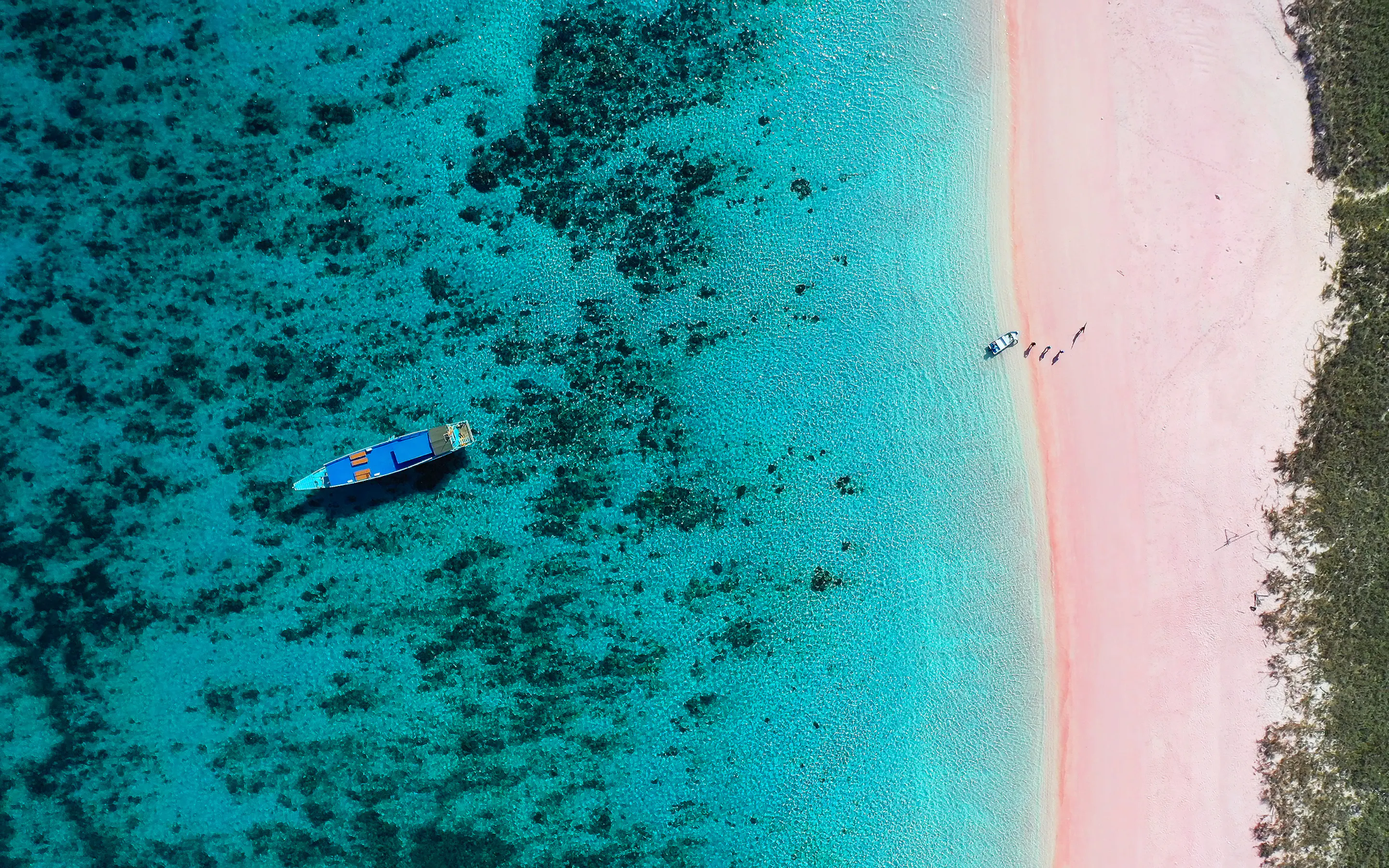 An aerial view shows a blue boat offshore from a pale pink beach, where clear water reveals dark coral patches.