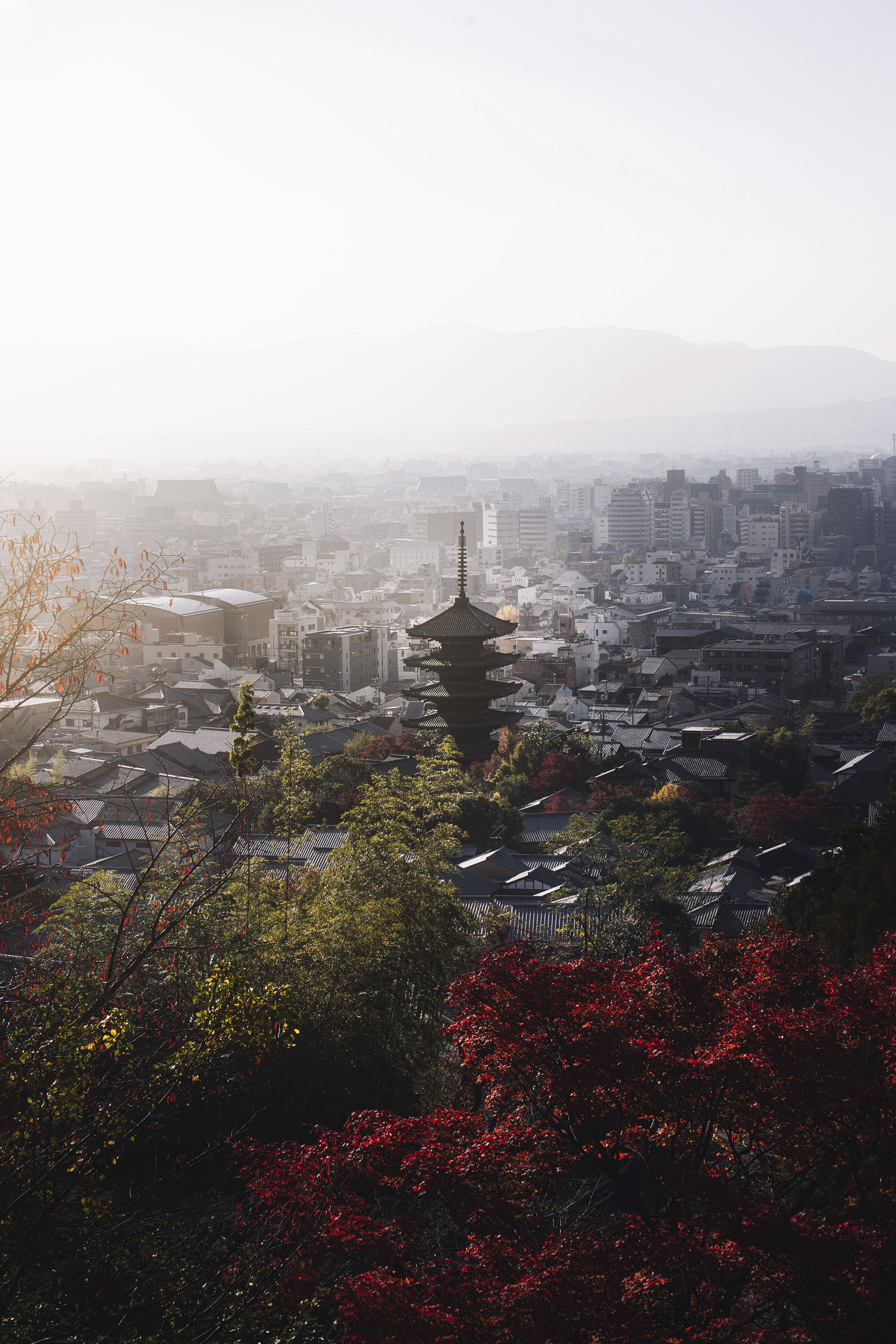 A five-story pagoda rises above Kyoto rooftops, framed by autumn foliage and a hazy mountain skyline in soft light.