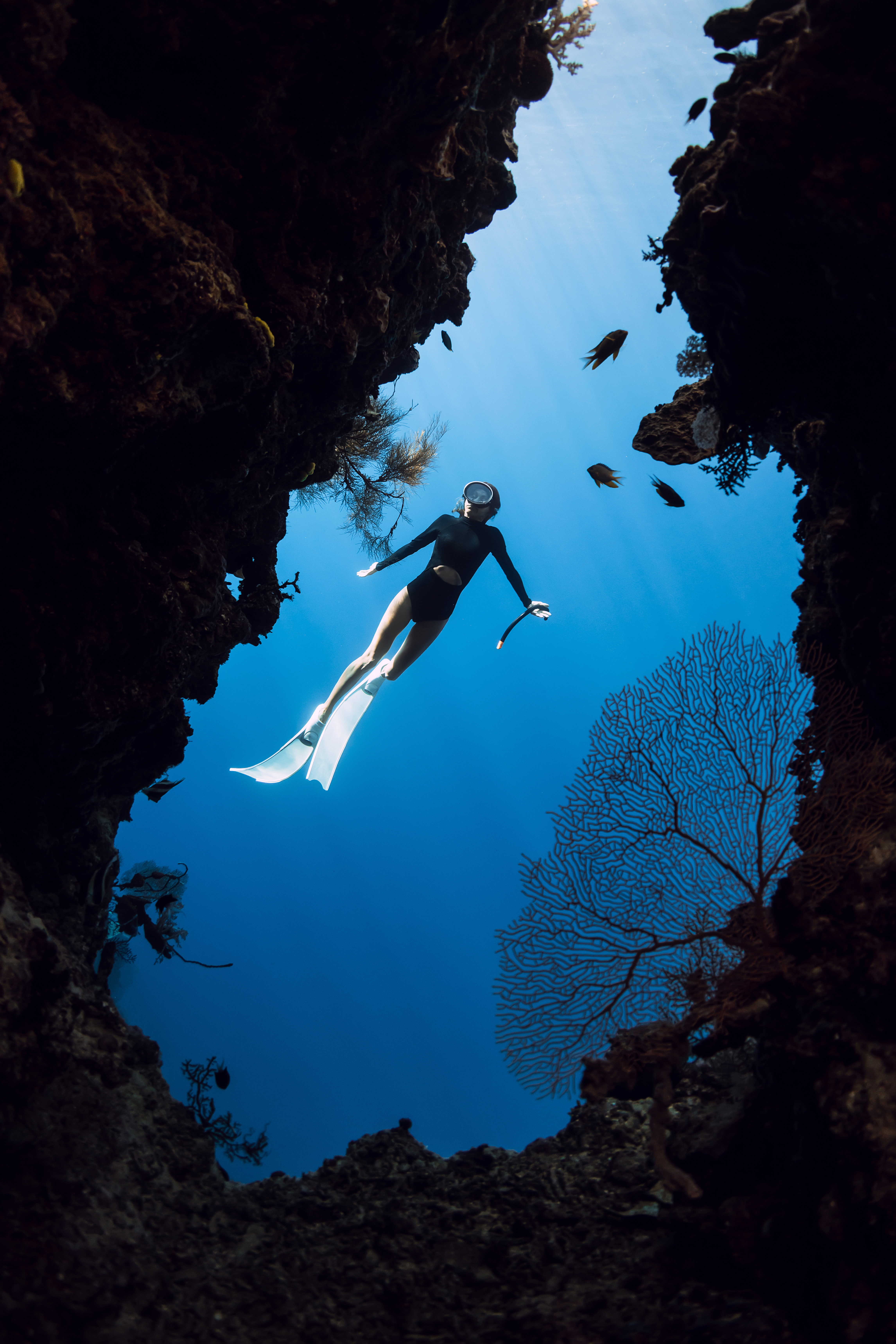A freediver drifts through a rocky underwater opening off Menjangan Island with coral fans and fish overhead.