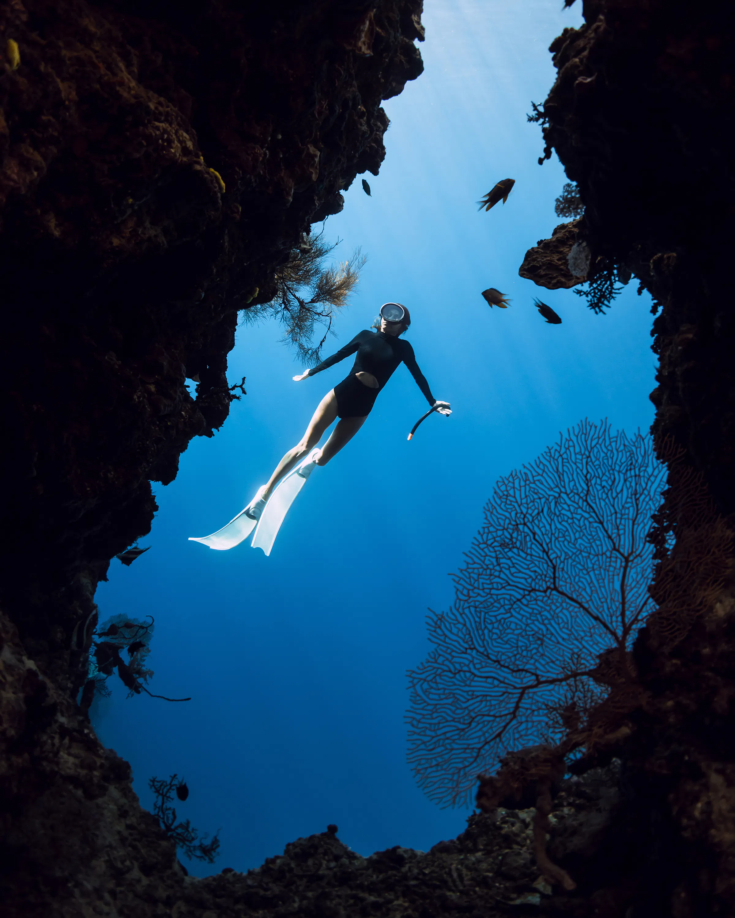 A freediver drifts through a rocky underwater opening off Menjangan Island with coral fans and fish overhead.