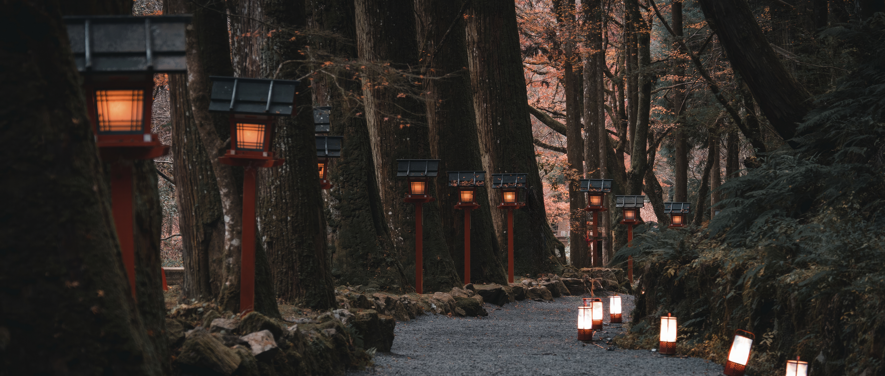 Glowing lanterns line a forest path beneath tall trees, casting warm light through the dusk along a wooded Kyoto trail.
