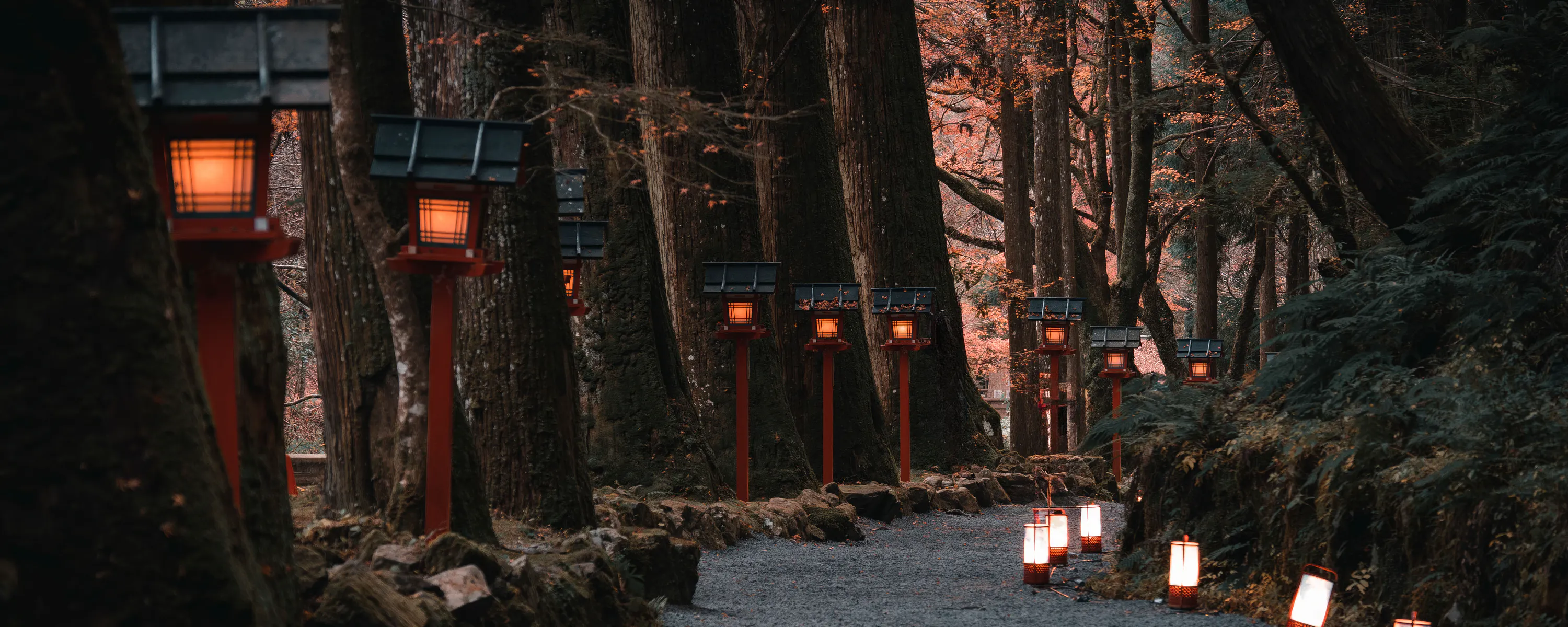 Glowing lanterns line a forest path beneath tall trees, casting warm light through the dusk along a wooded Kyoto trail.