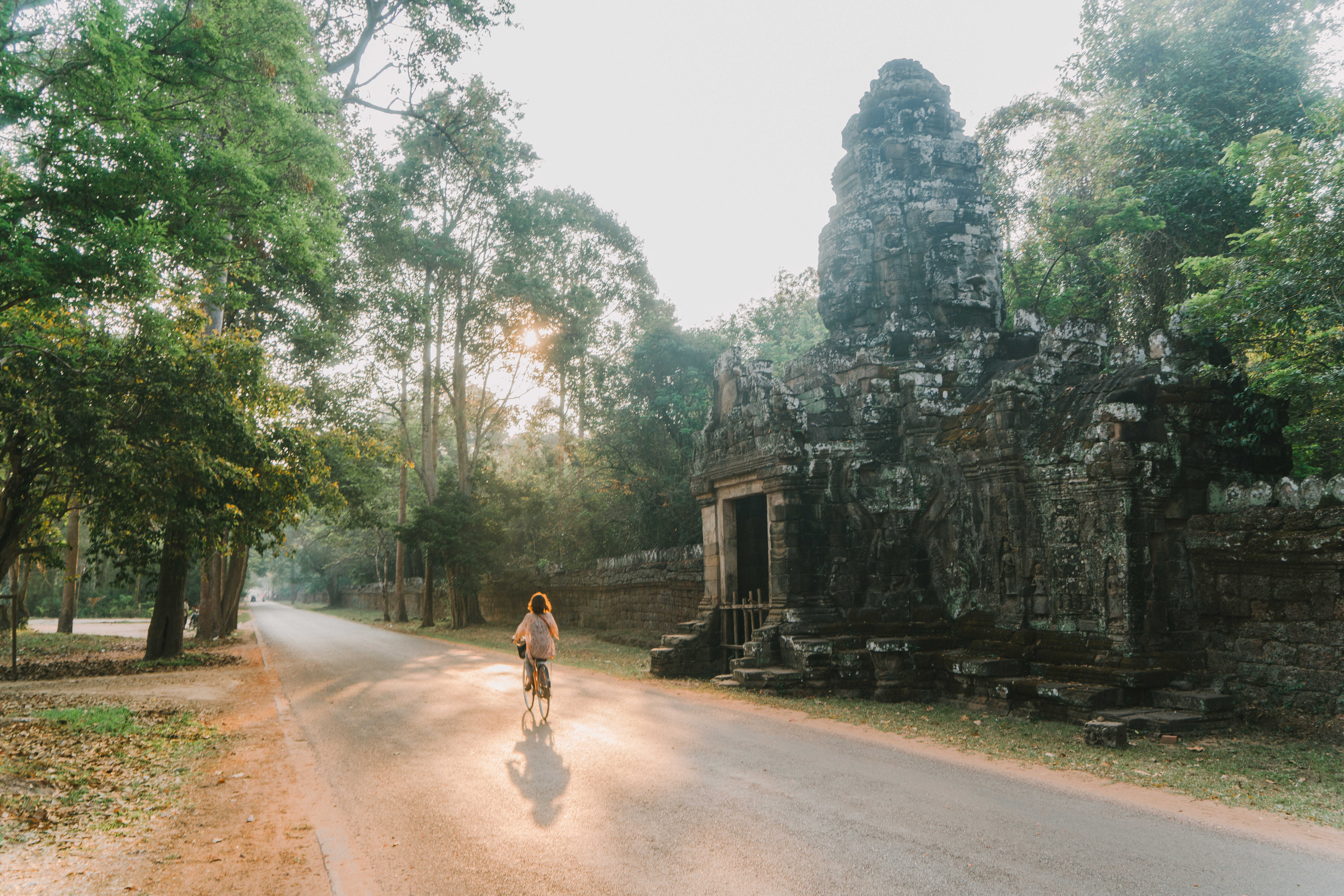 A cyclist pedals past a weathered stone gate at Angkor, where morning light filters through tall roadside trees.