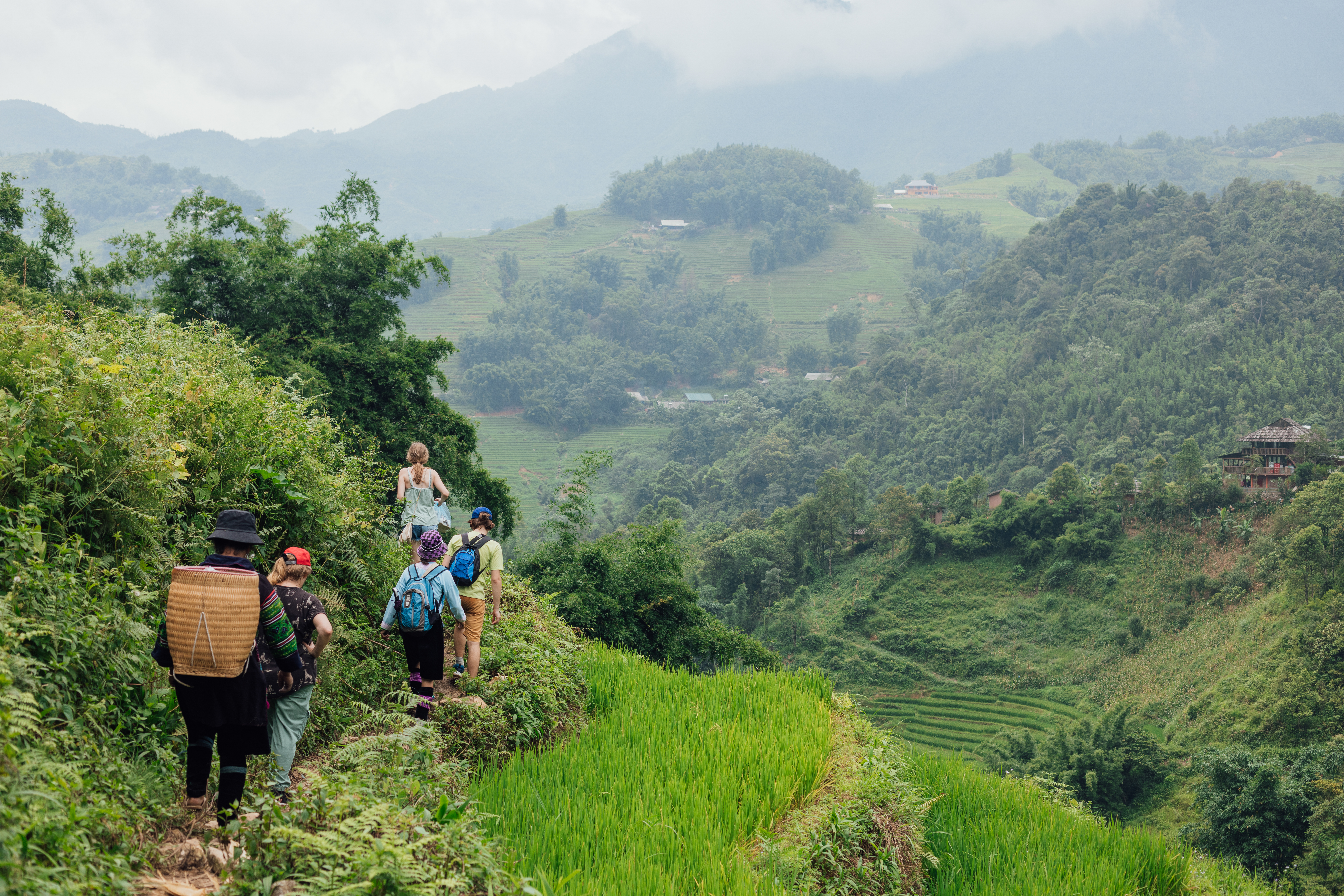 Five people walk a narrow path above bright rice terraces in Sapa, with misty green hills fading into the distance.