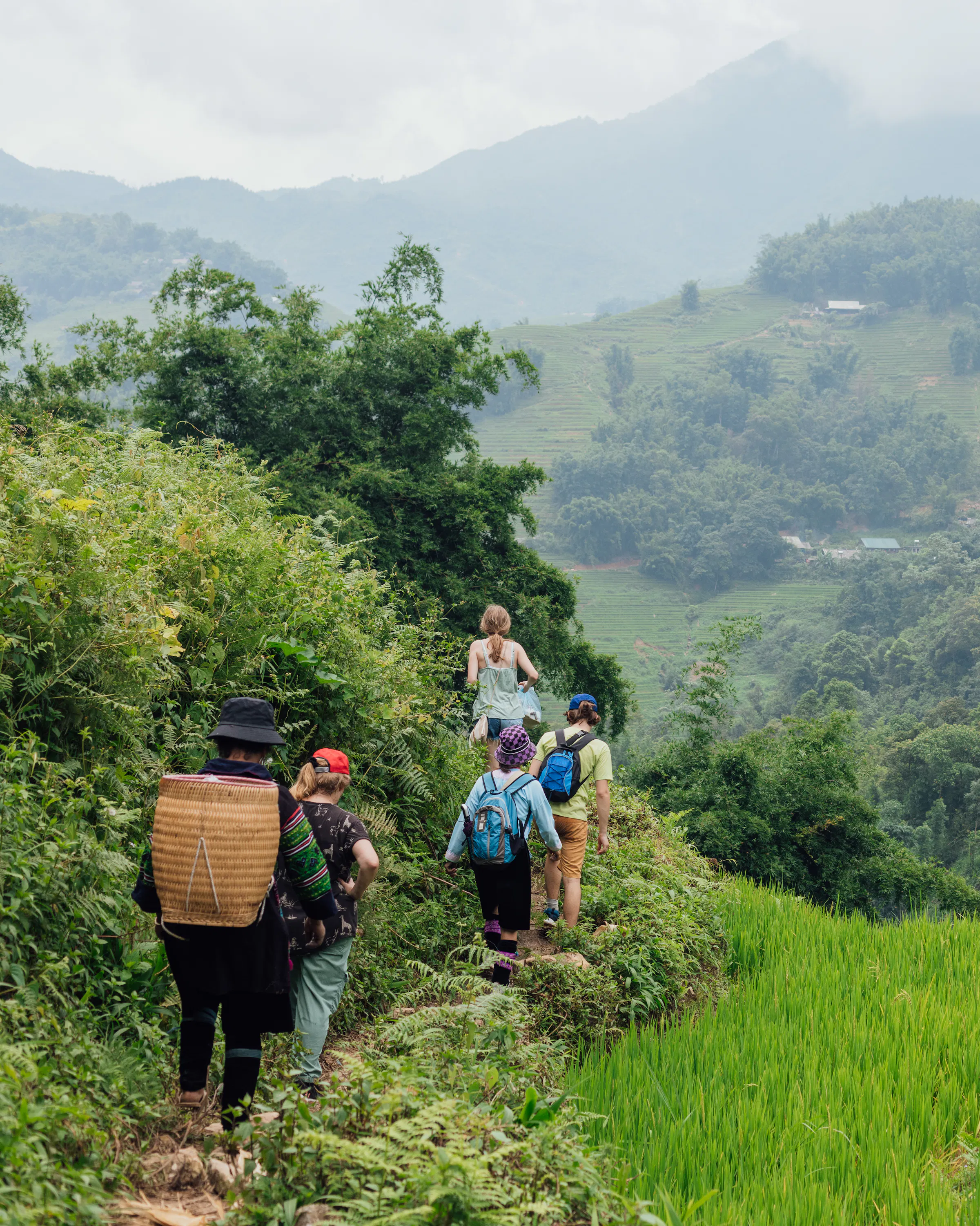 Five people walk a narrow path above bright rice terraces in Sapa, with misty green hills fading into the distance.