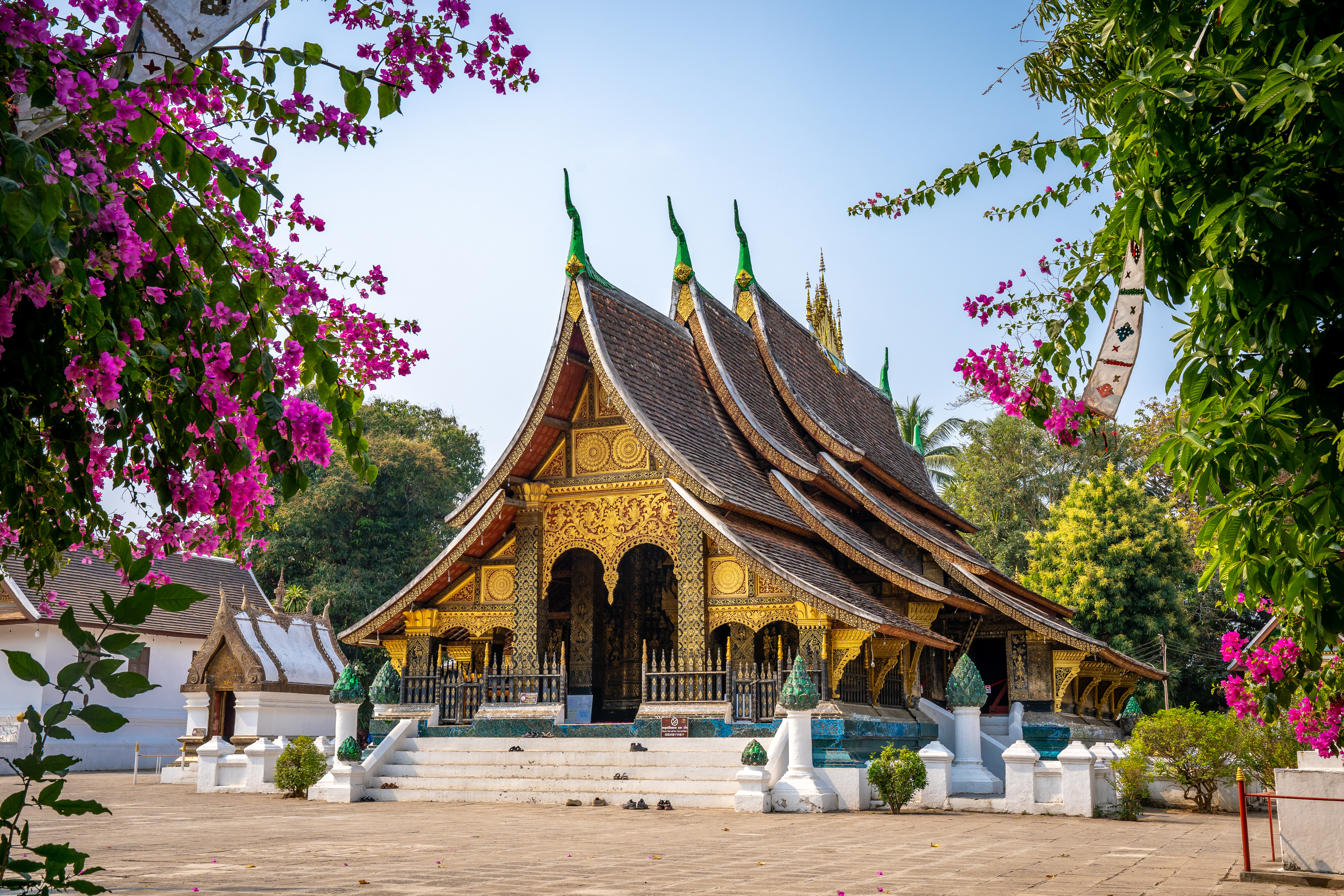 An ornate temple in Luang Prabang rises behind flowering bougainvillea, with gilded details bright in morning light.