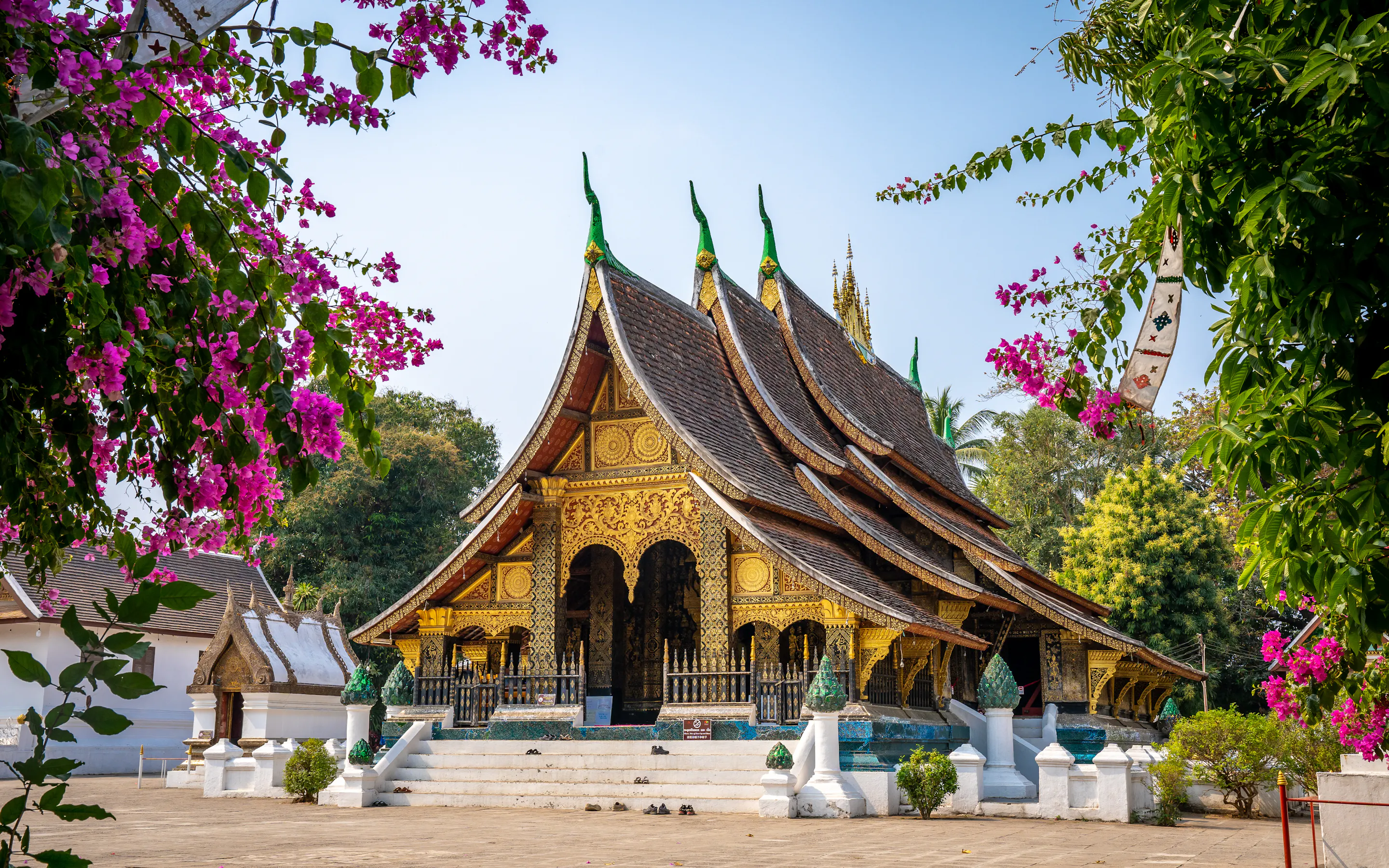 An ornate temple in Luang Prabang rises behind flowering bougainvillea, with gilded details bright in morning light.