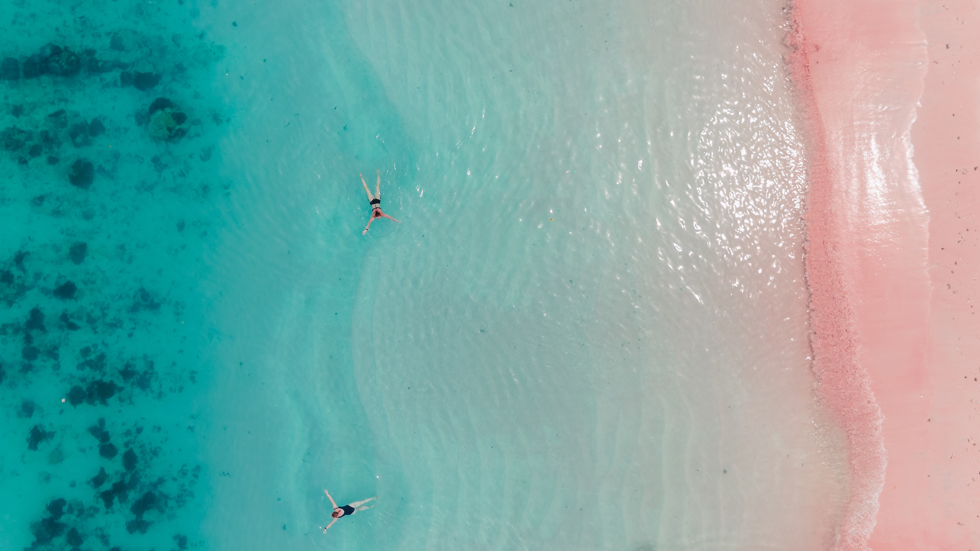 Two swimmers float in pale turquoise water beside Flores' Pink Beach, where a bright rose shoreline curves gently.