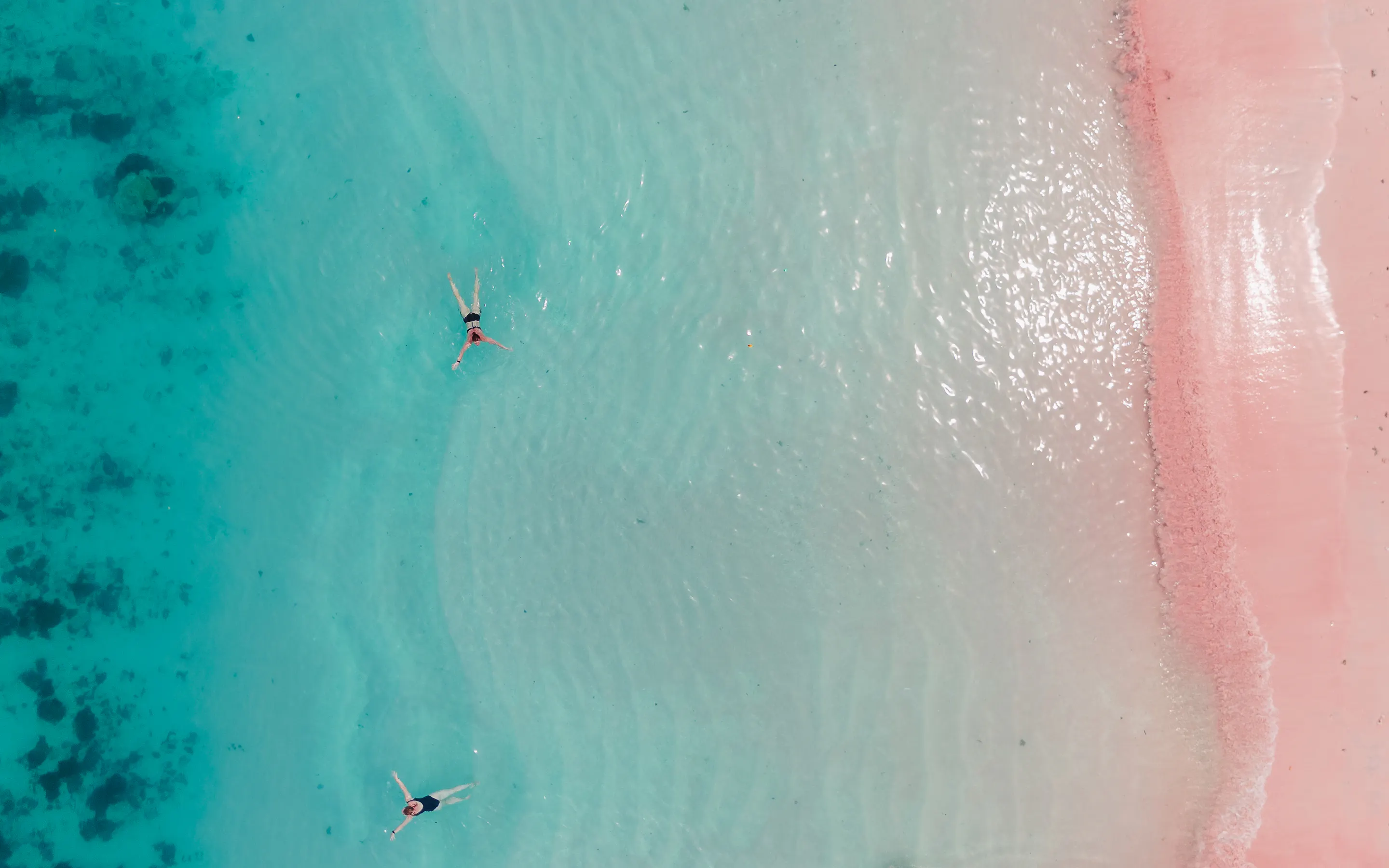 Two swimmers float in pale turquoise water beside Flores' Pink Beach, where a bright rose shoreline curves gently.