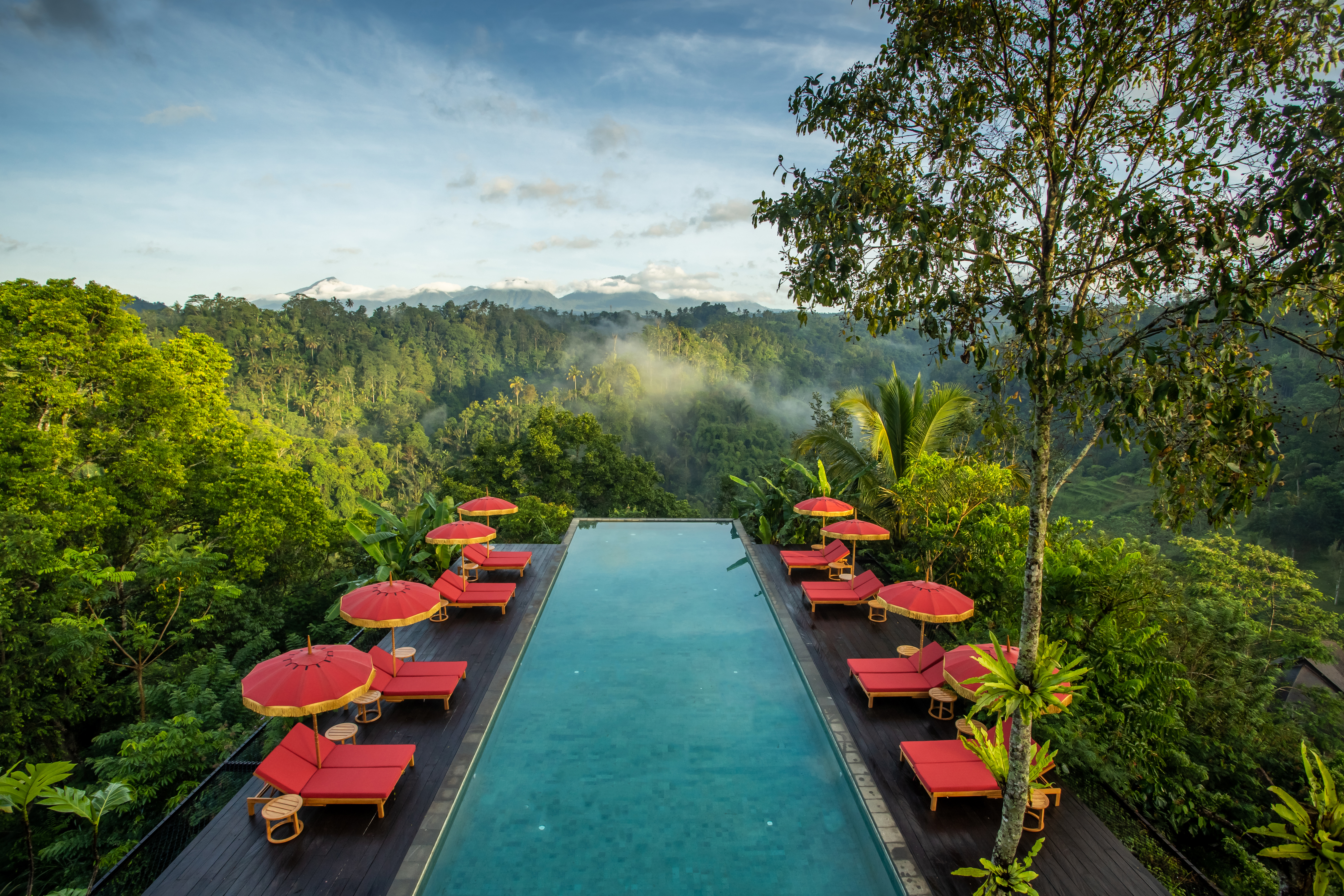 A long pool overlooks thick jungle at Buahan, where red parasols line the deck and mist softens the distant hills.
