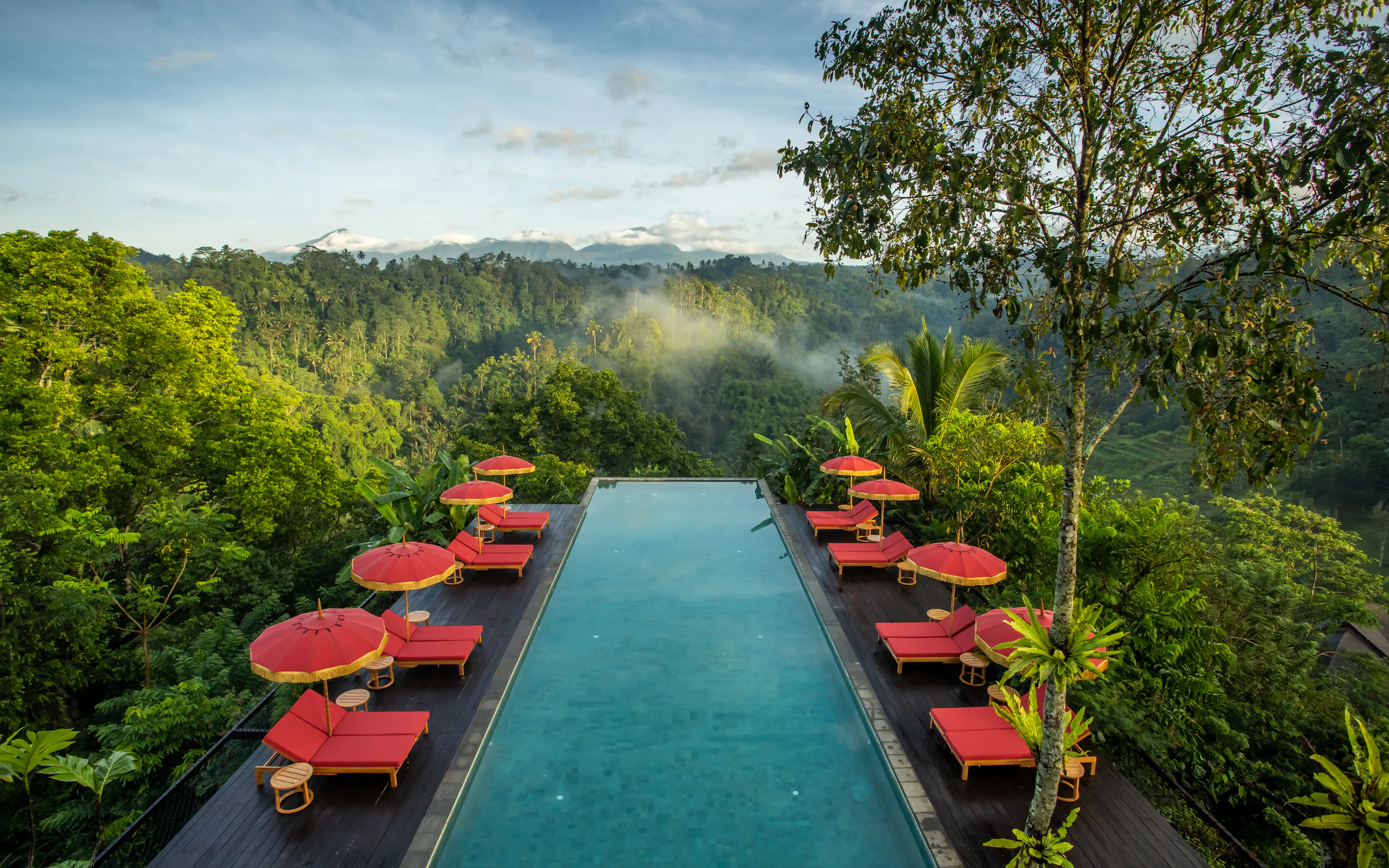 A long pool overlooks thick jungle at Buahan, where red parasols line the deck and mist softens the distant hills.