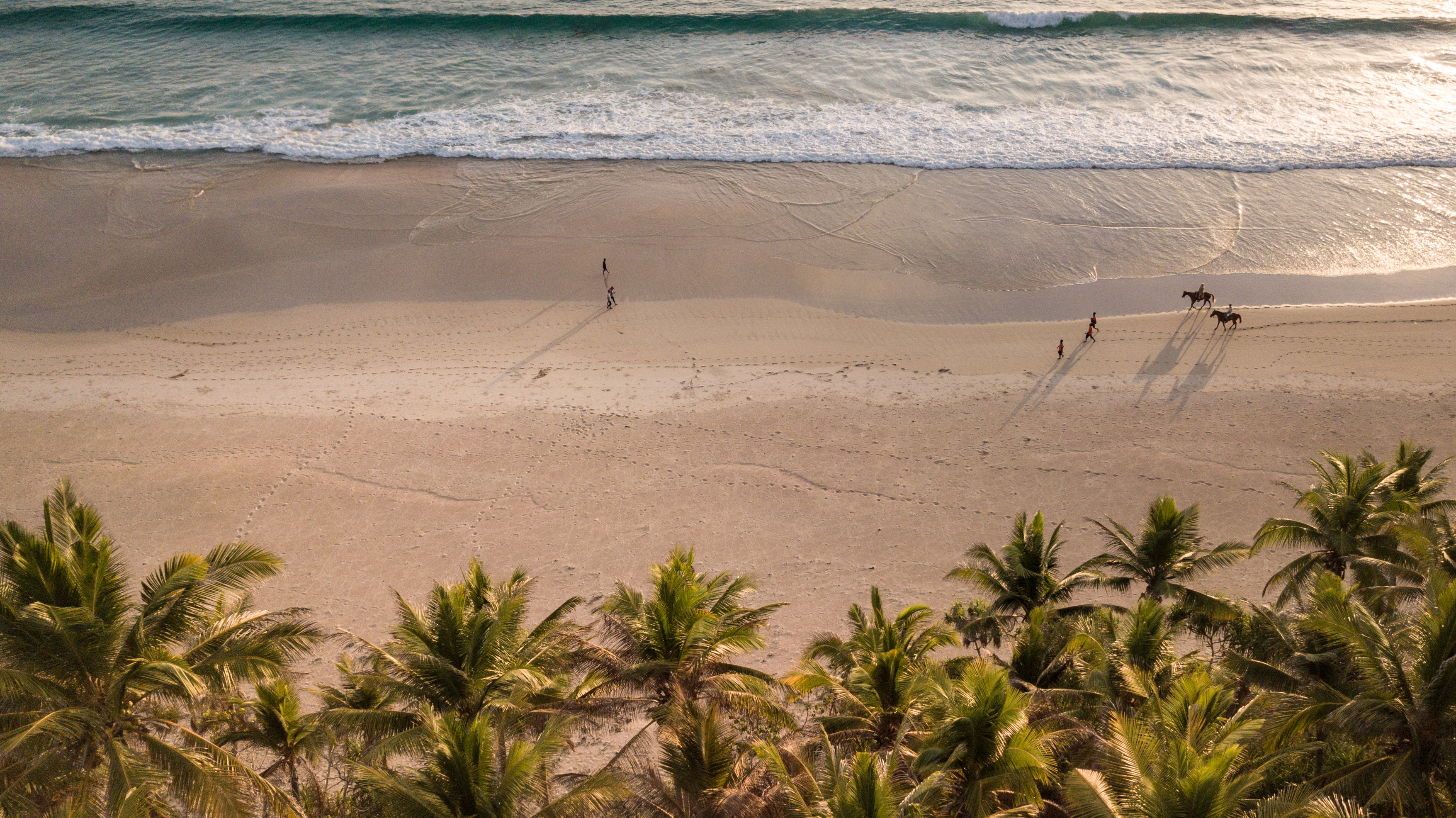 Tiny riders lead horses along a wide beach below swaying palms, with long shadows stretching toward the surf.